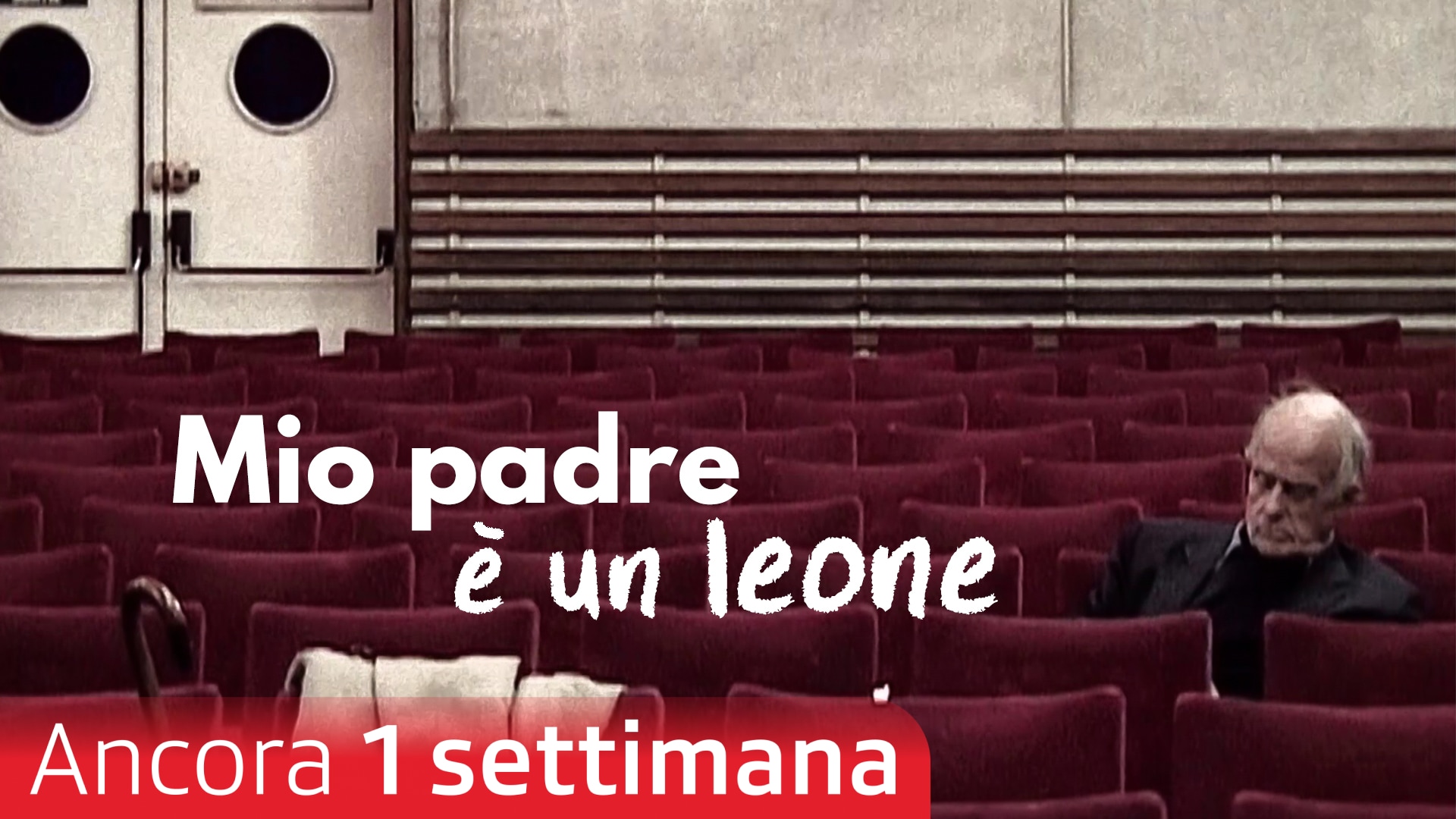 Mio padre è un leone