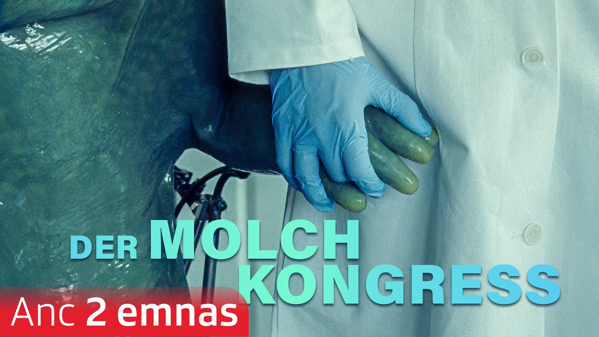 Der Molchkongress