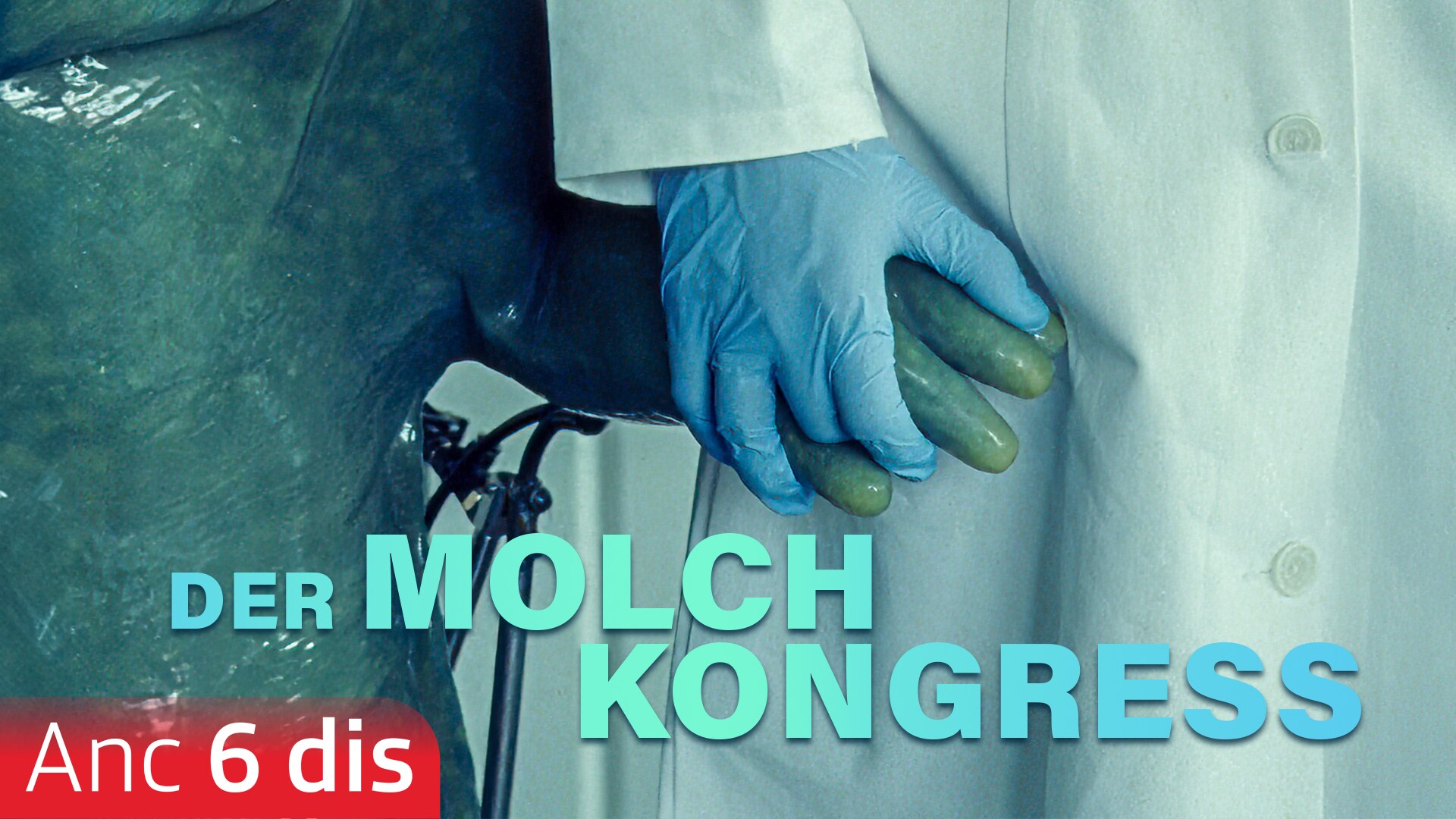 Der Molchkongress