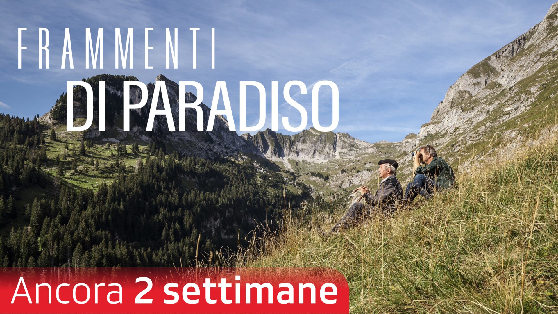 Frammenti di Paradiso