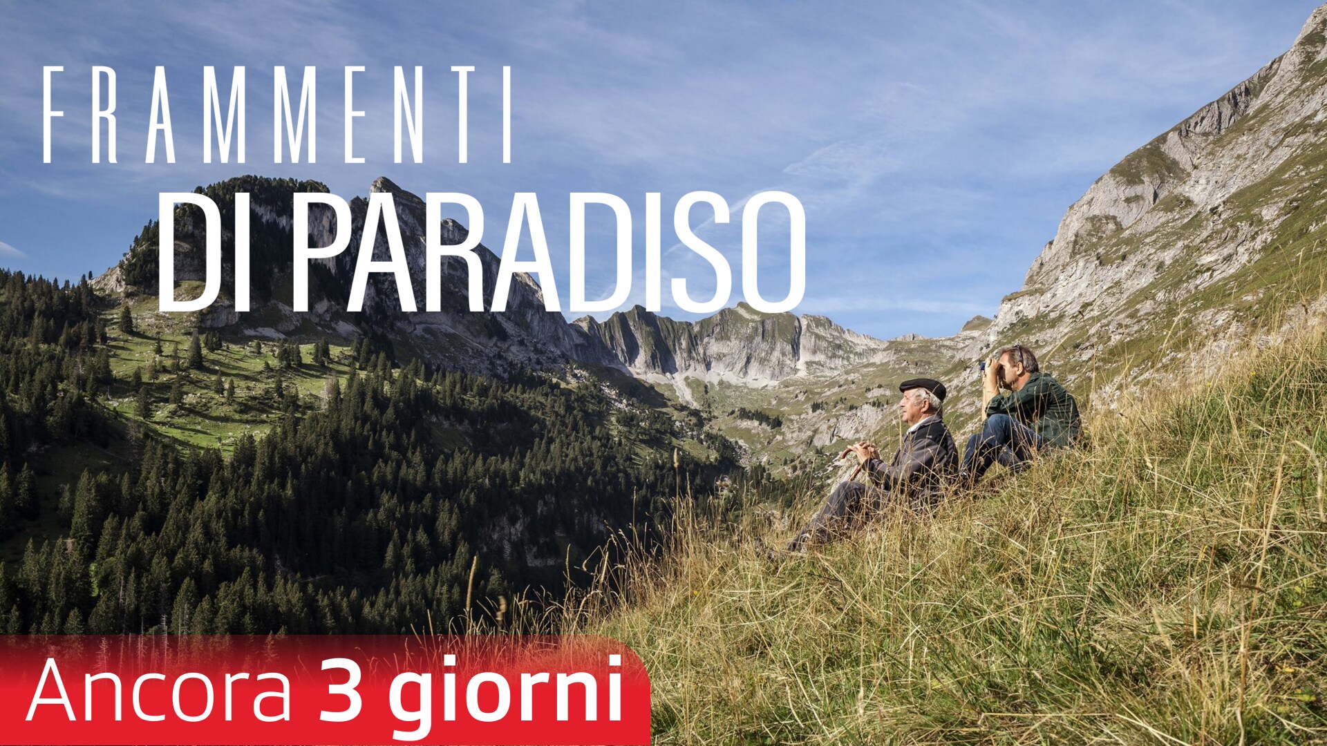 Frammenti di Paradiso