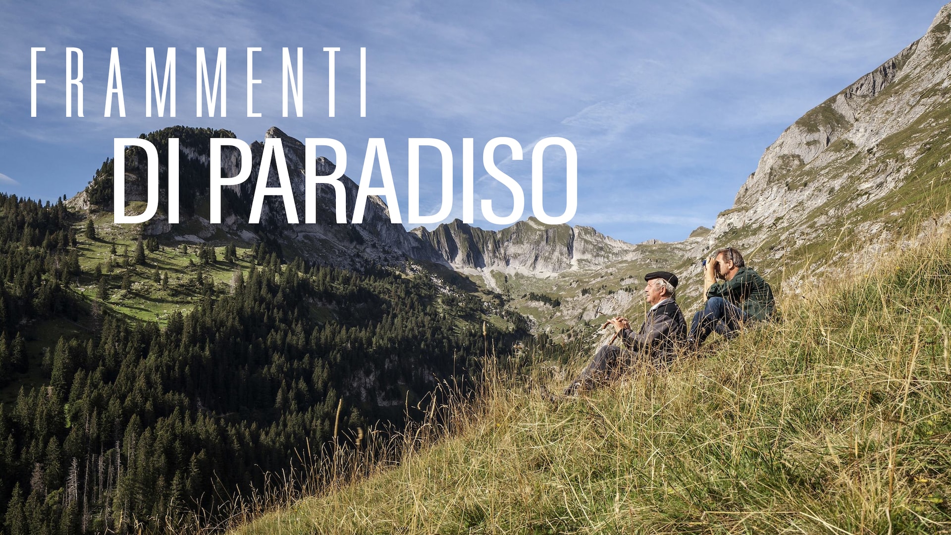 Frammenti di Paradiso