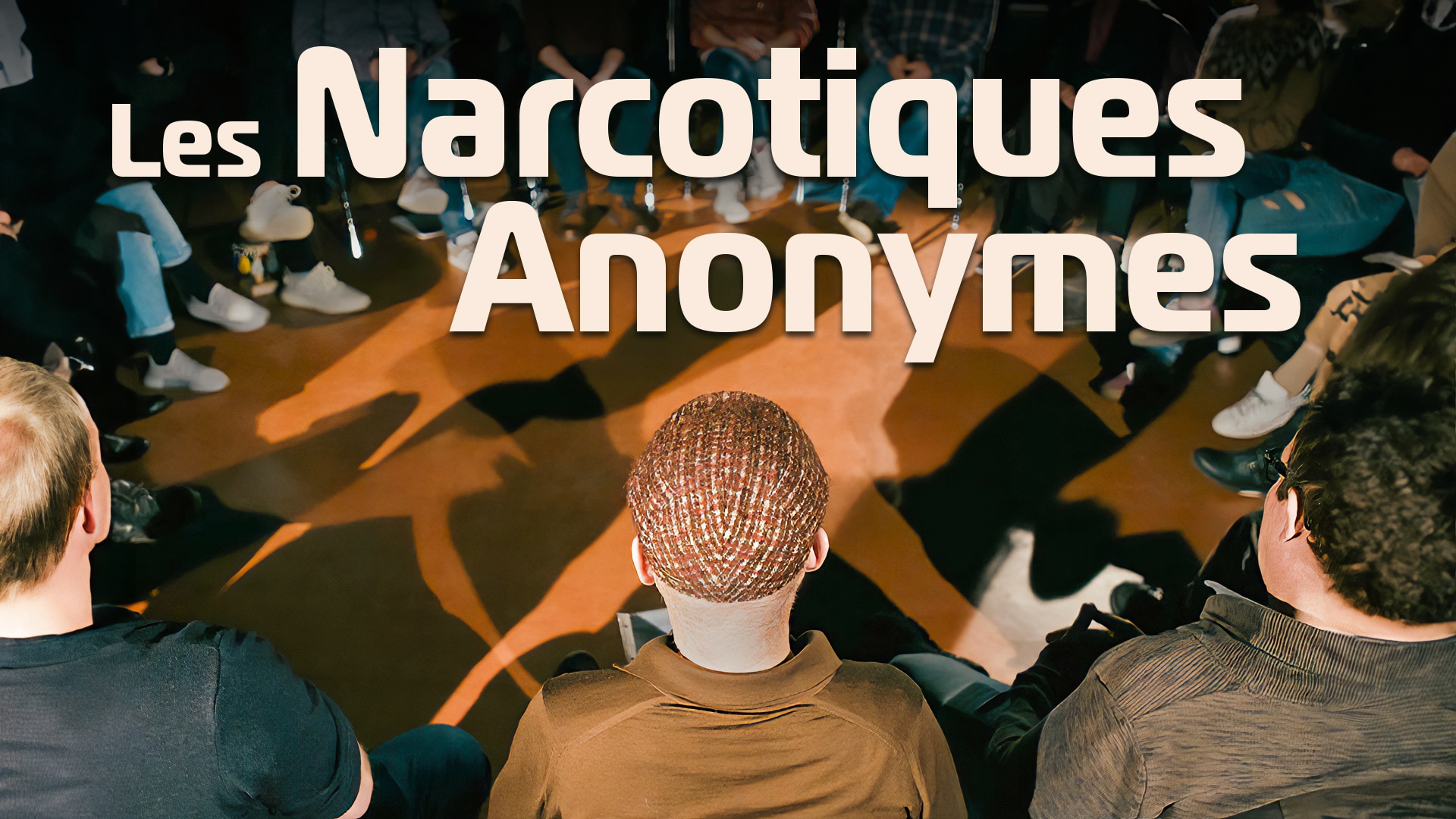 Les Narcotiques Anonymes