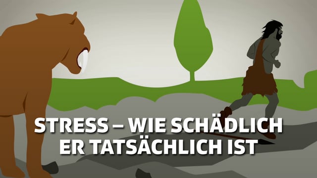 Stress – wie schädlich er tatsächlich ist