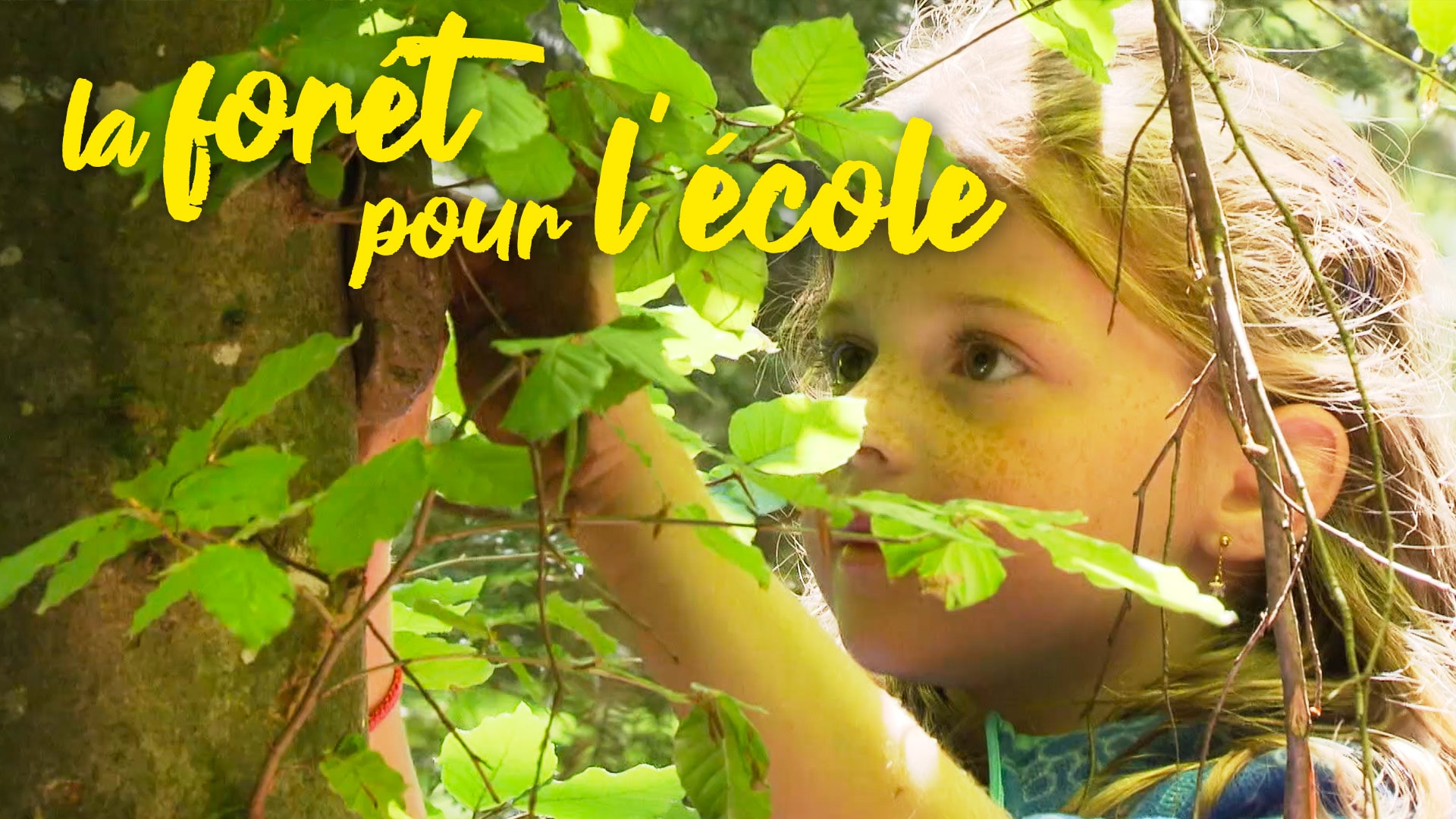 La forêt pour école