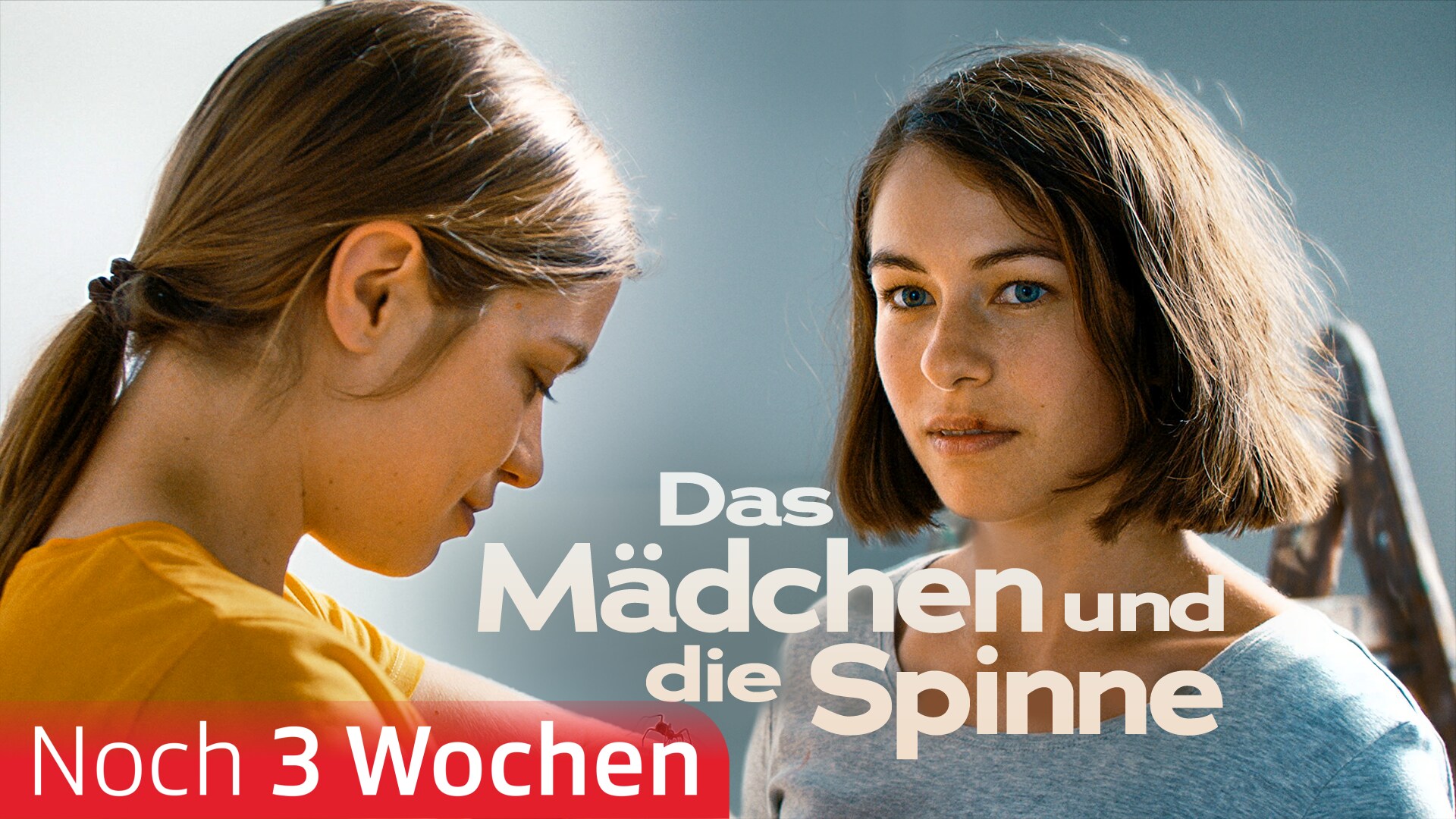 Das Mädchen und die Spinne