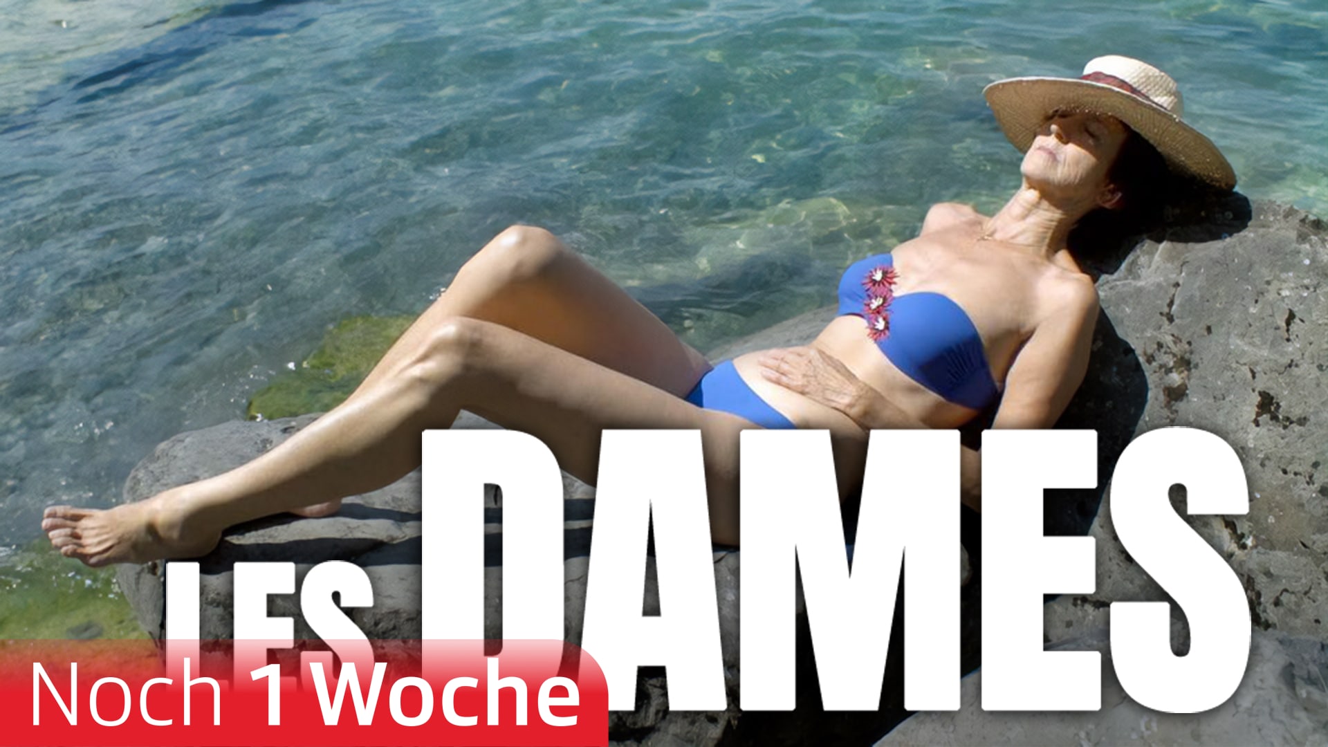 Les Dames - Immer noch Frau