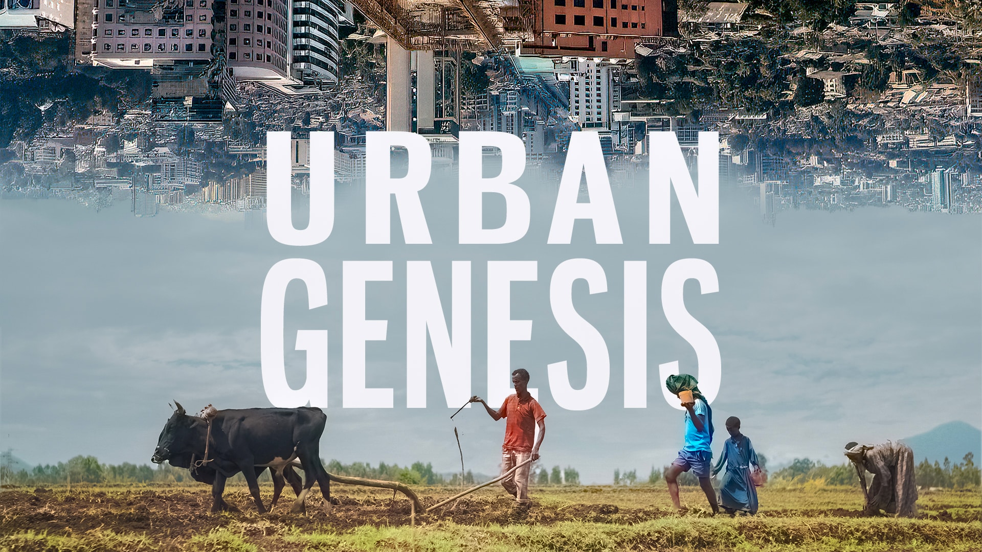 Urban Genesis