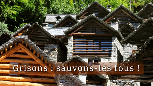 Grisons : sauvons-les tous !