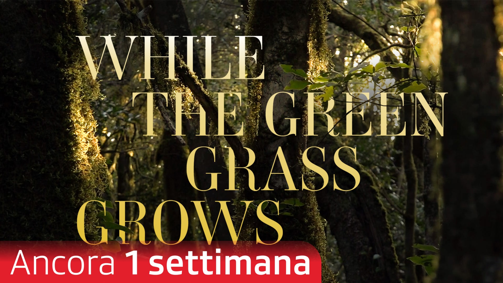 While the Green Gras Grows