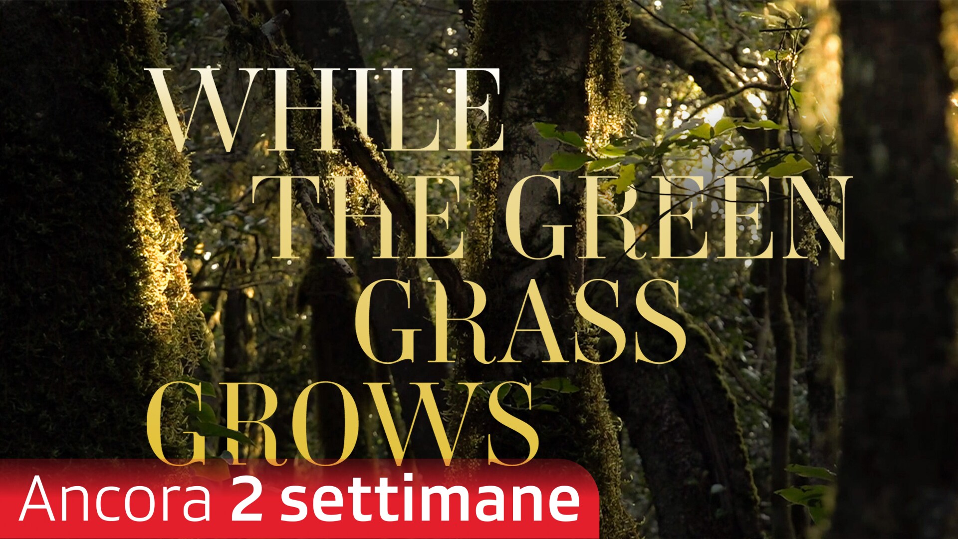 While the Green Gras Grows