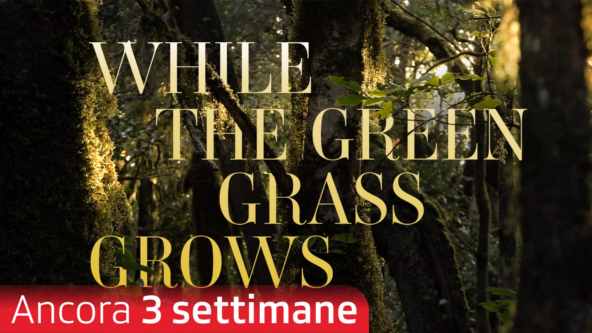 While the Green Gras Grows