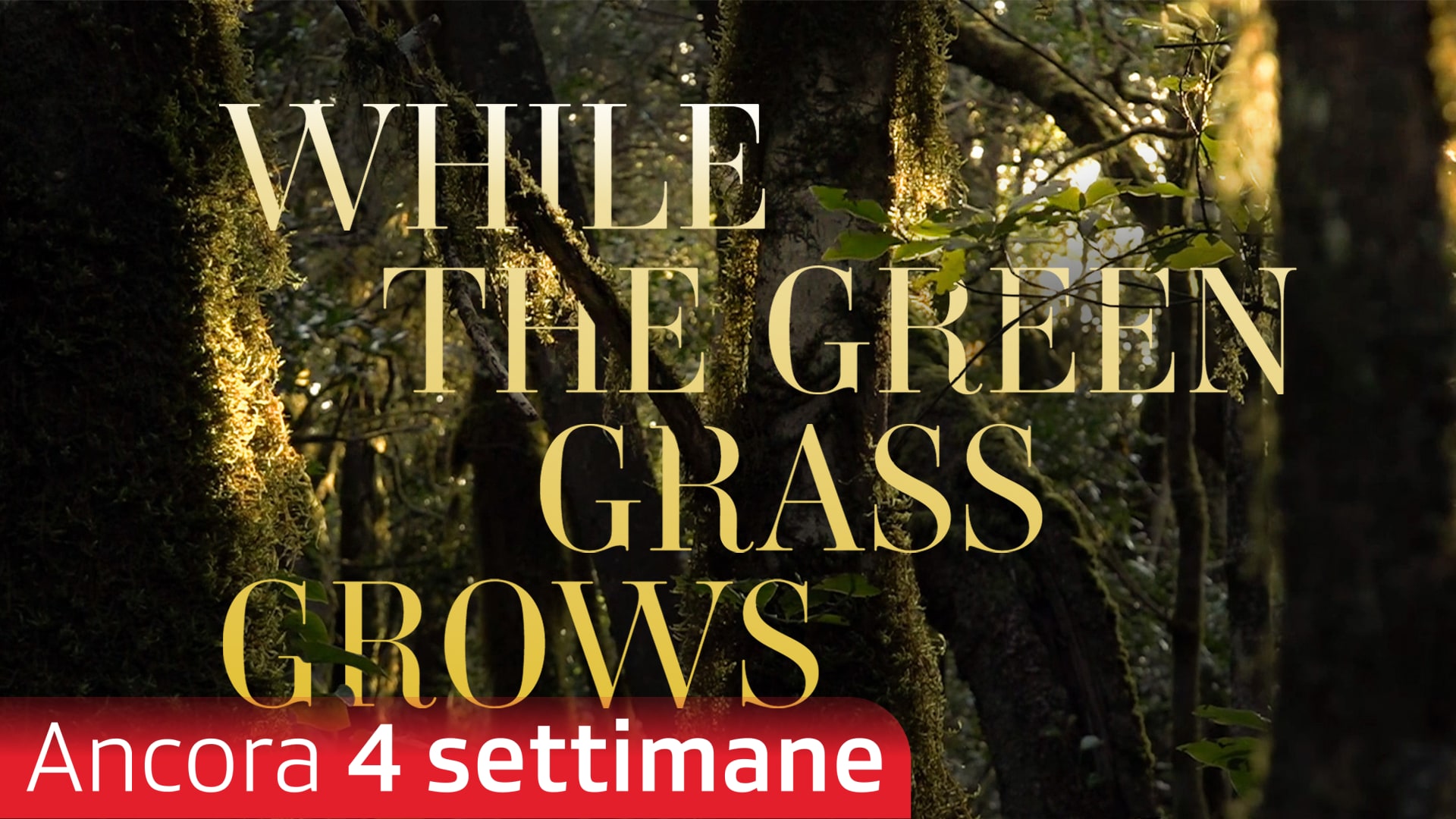 While the Green Gras Grows