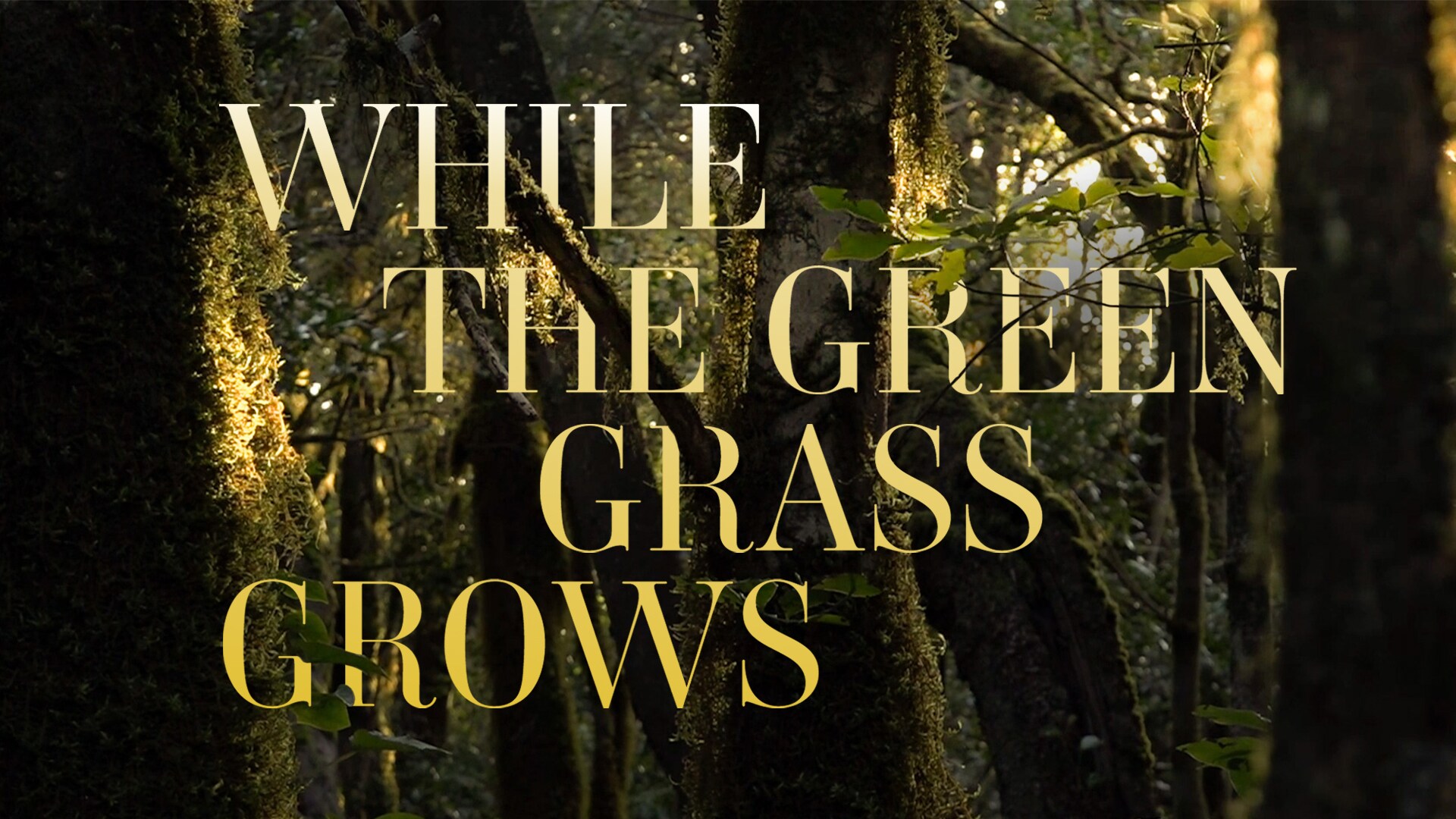 While the Green Gras Grows