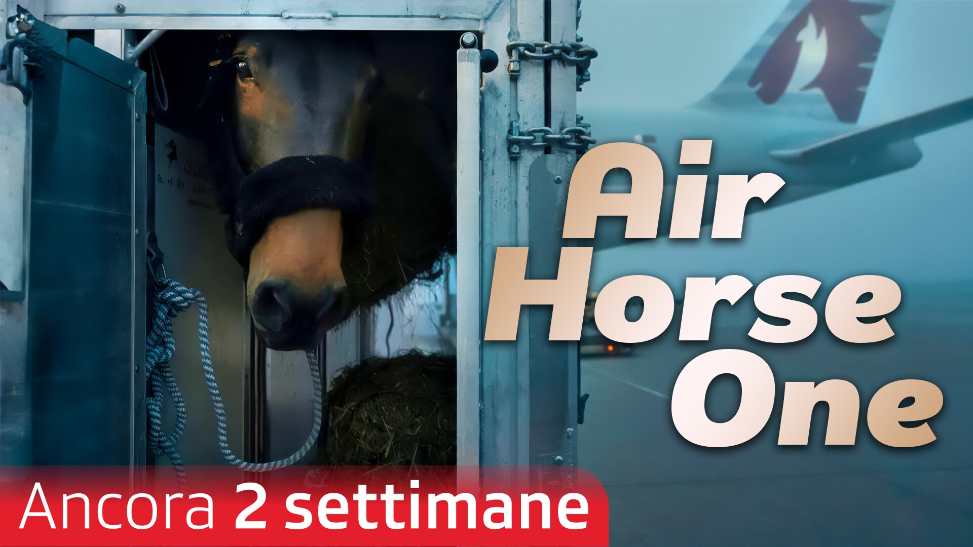 Air Horse One