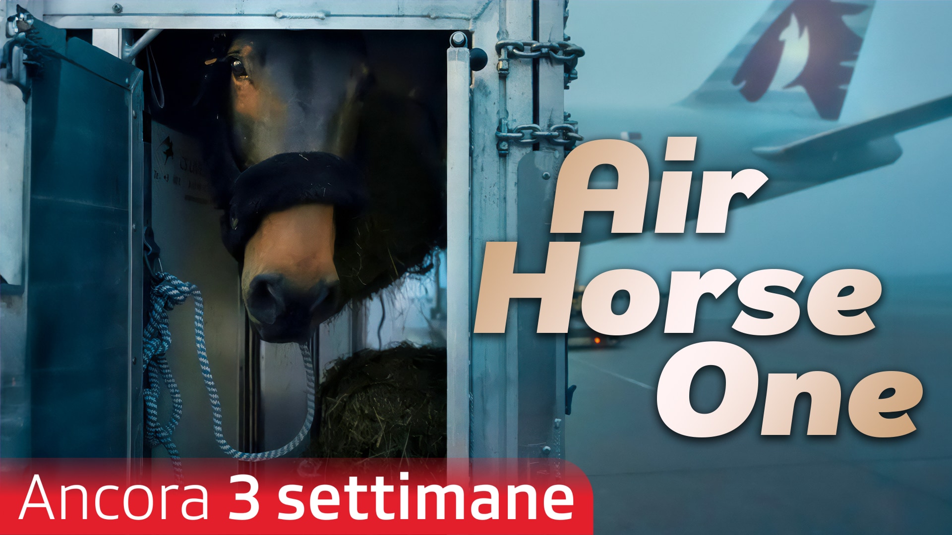 Air Horse One