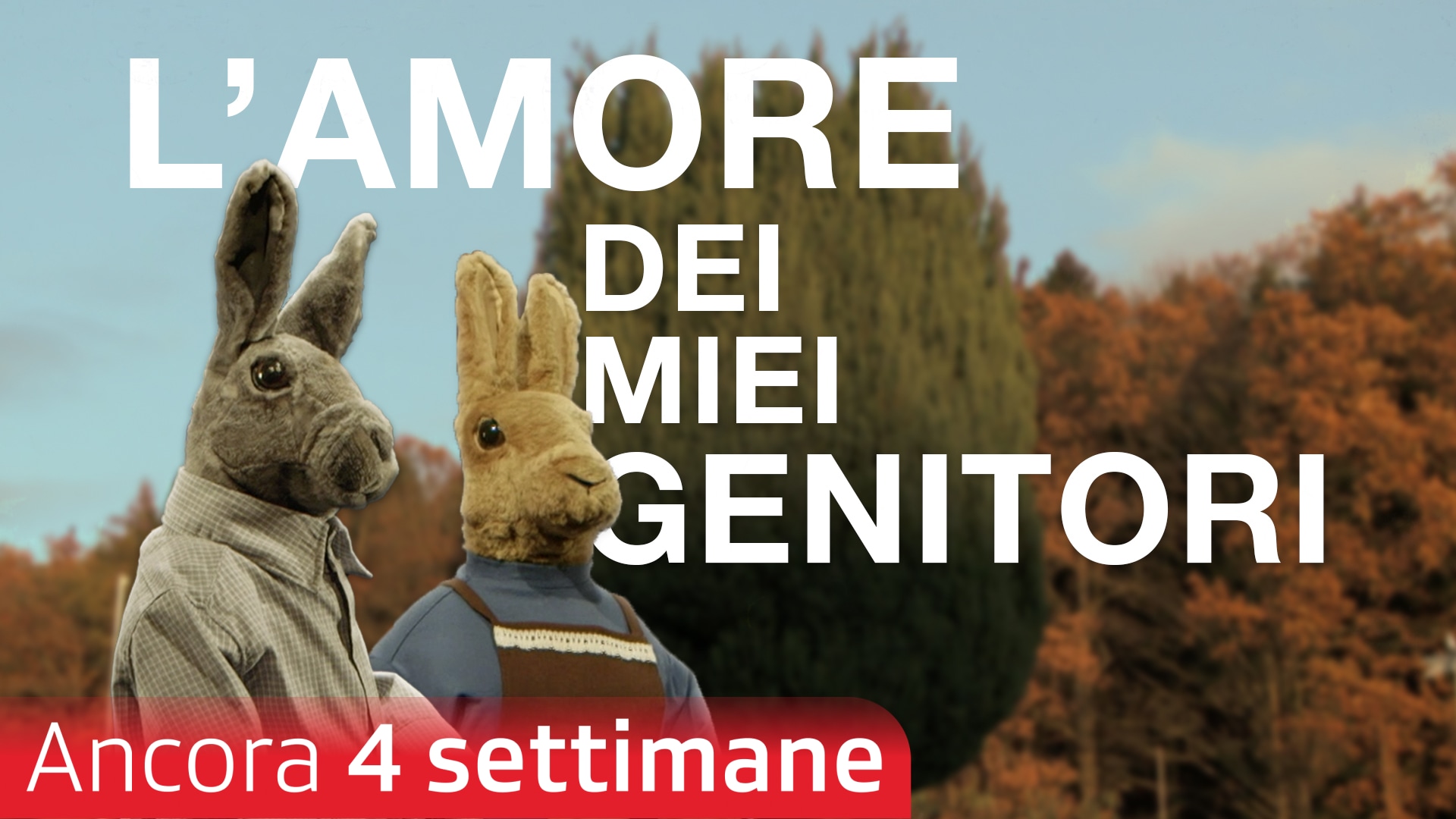 L'amore dei miei genitori