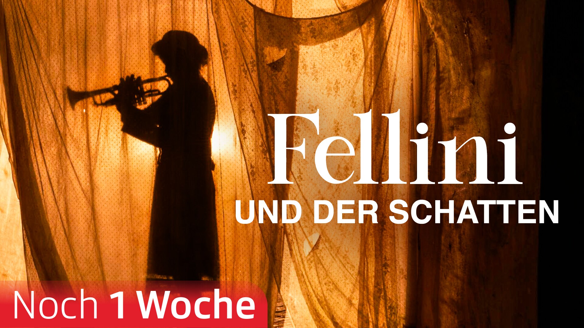Fellini und der Schatten