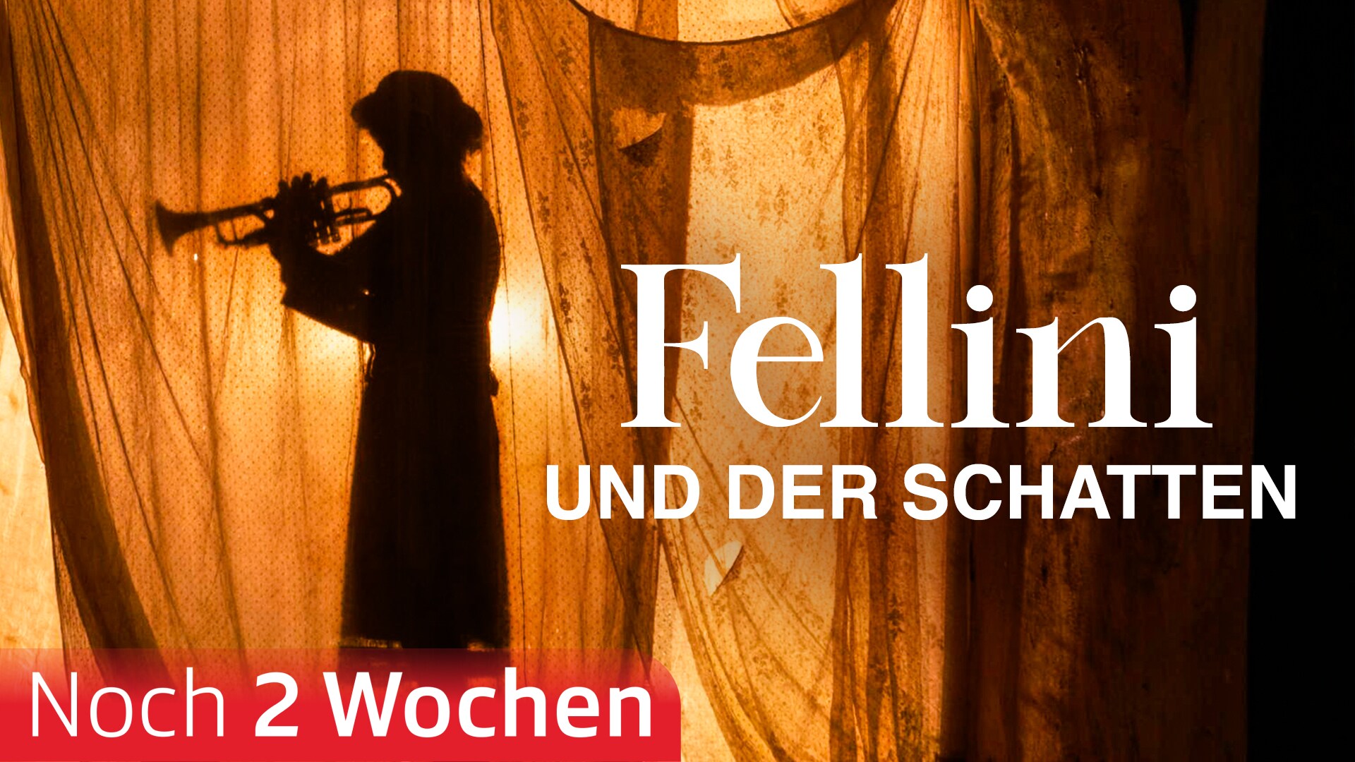 Fellini und der Schatten