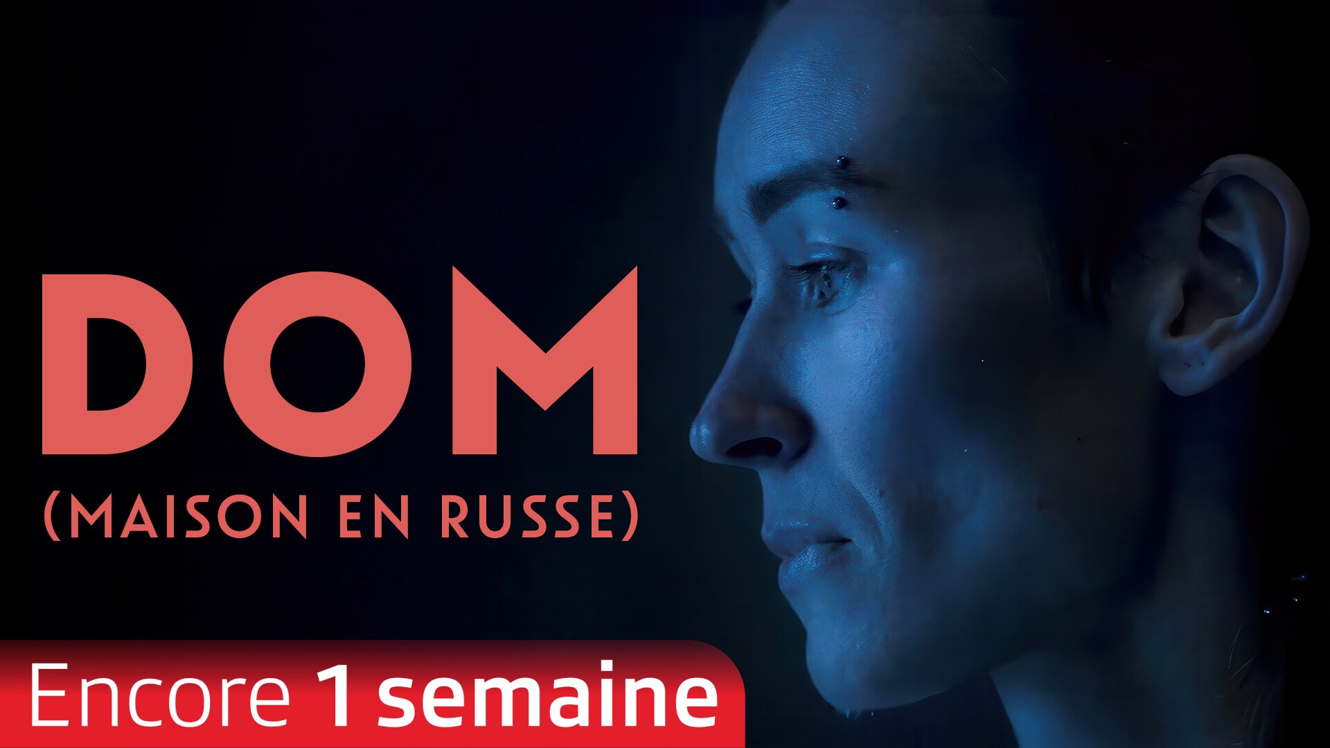 DOM (Maison en Russe)