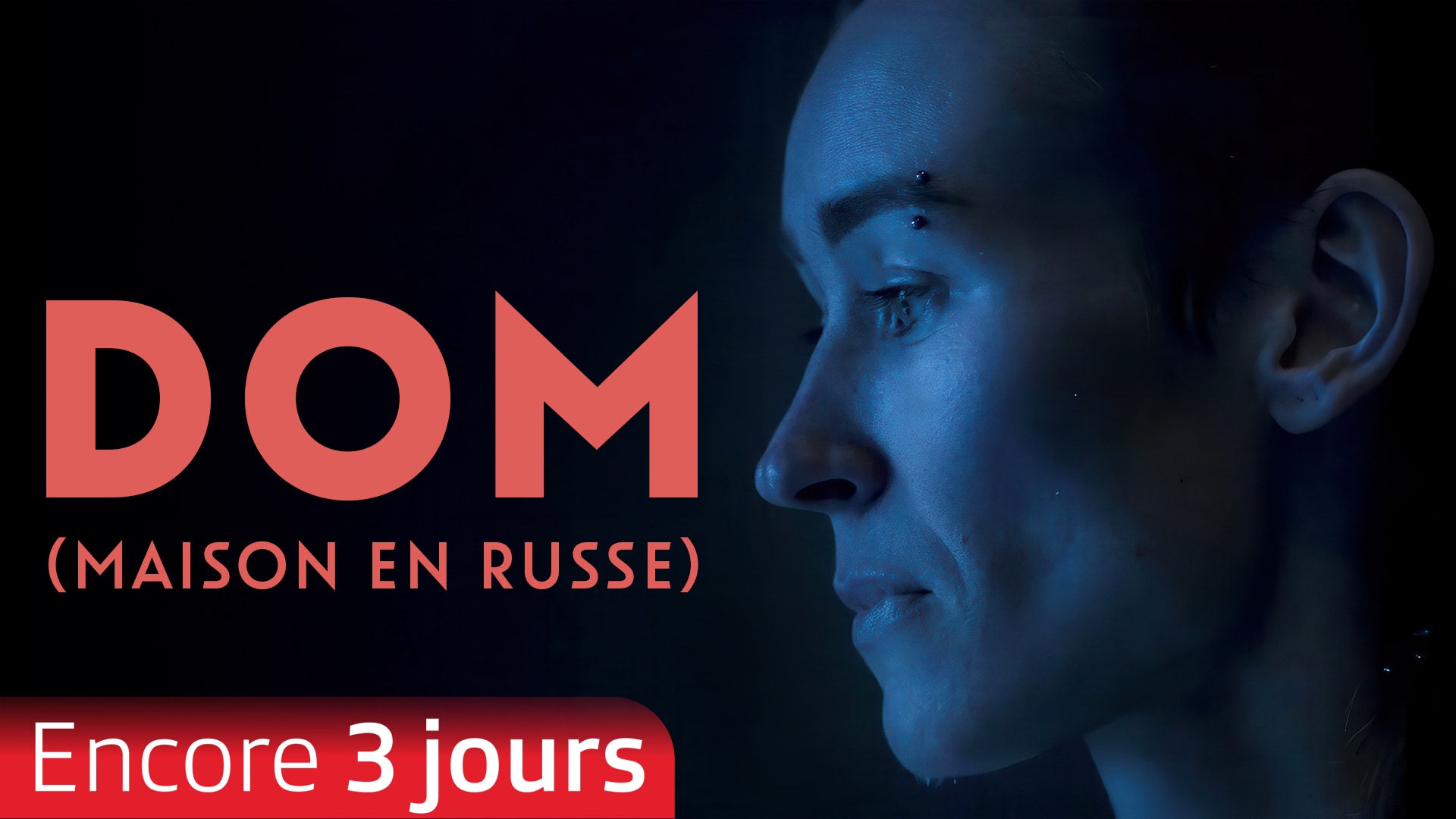 DOM (Maison en Russe)