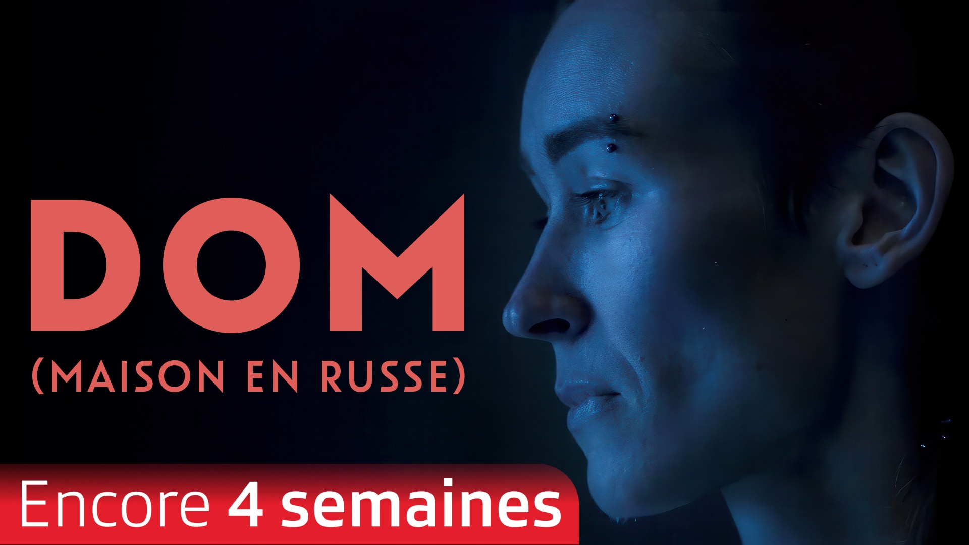 DOM (Maison en Russe)