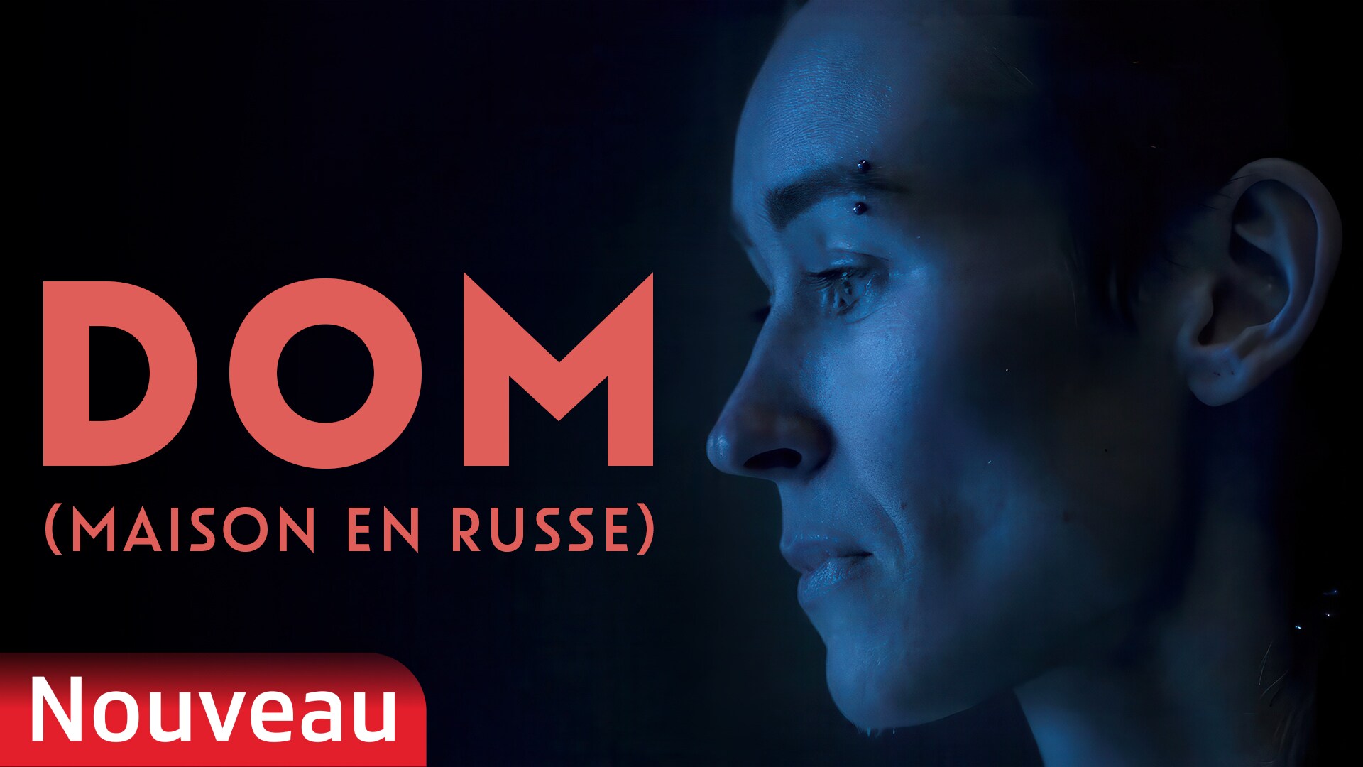 DOM (Maison en Russe)
