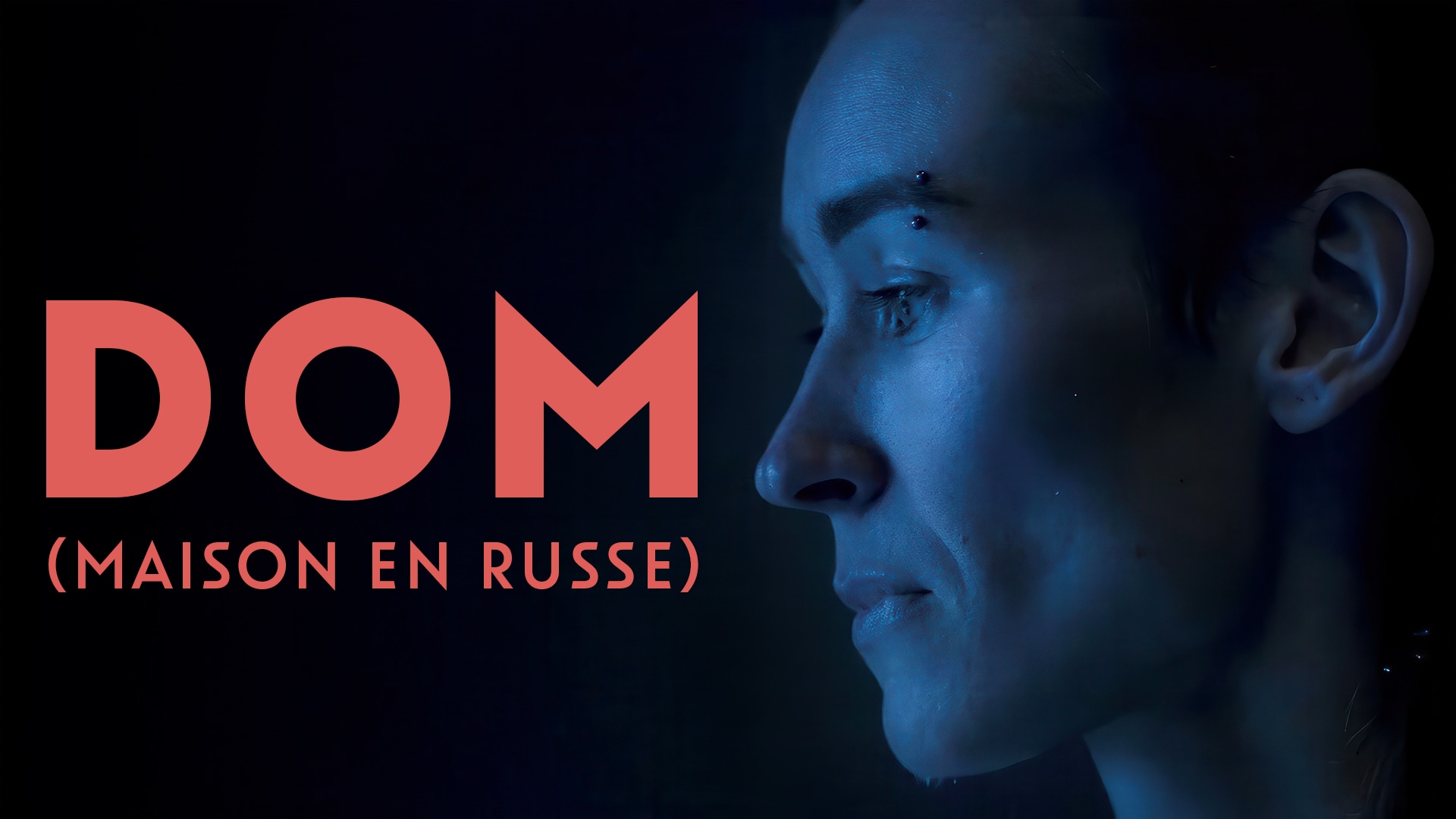 DOM (Maison en Russe)