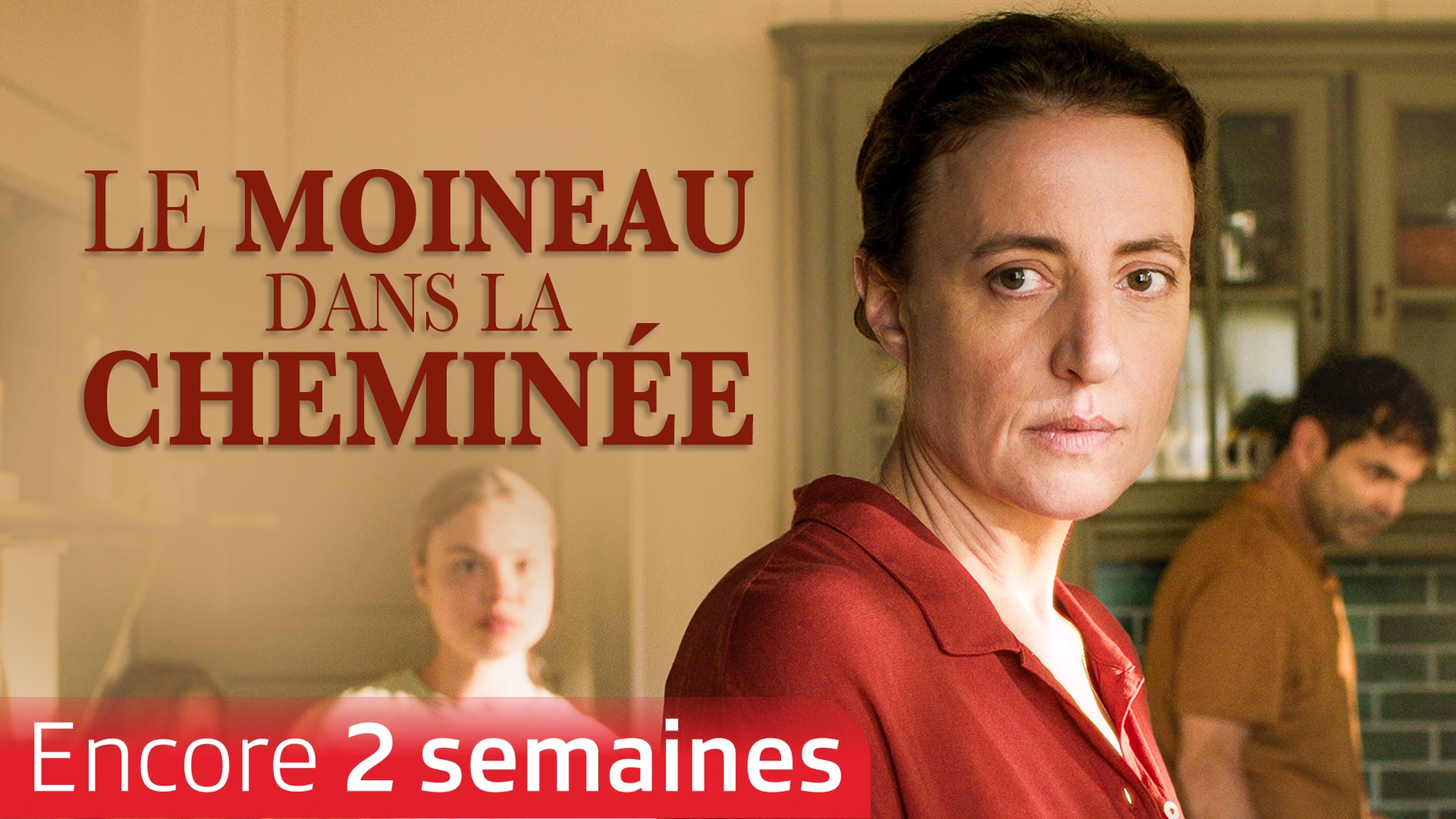 Le moineau dans la cheminée