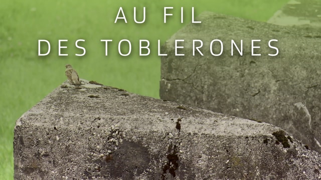 Au fil des Toblerones