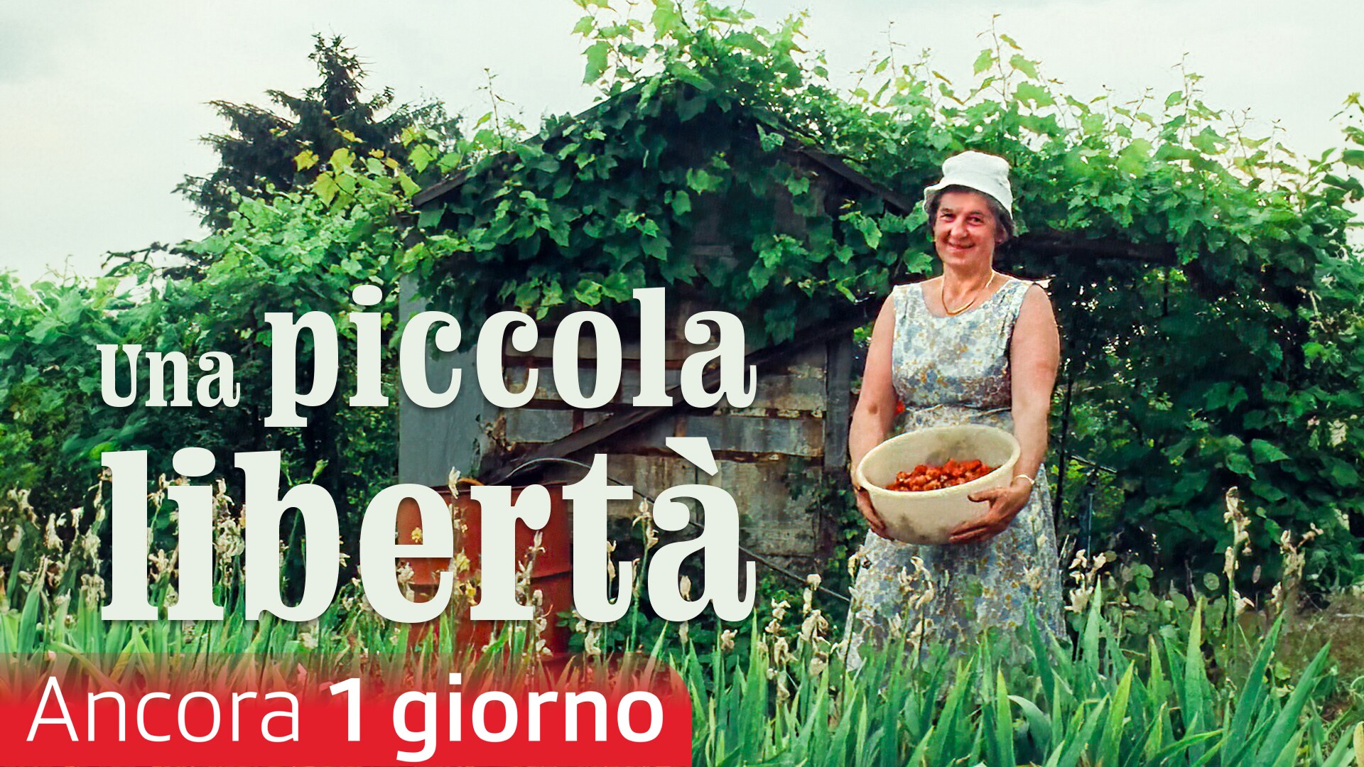 Una piccola libertà
