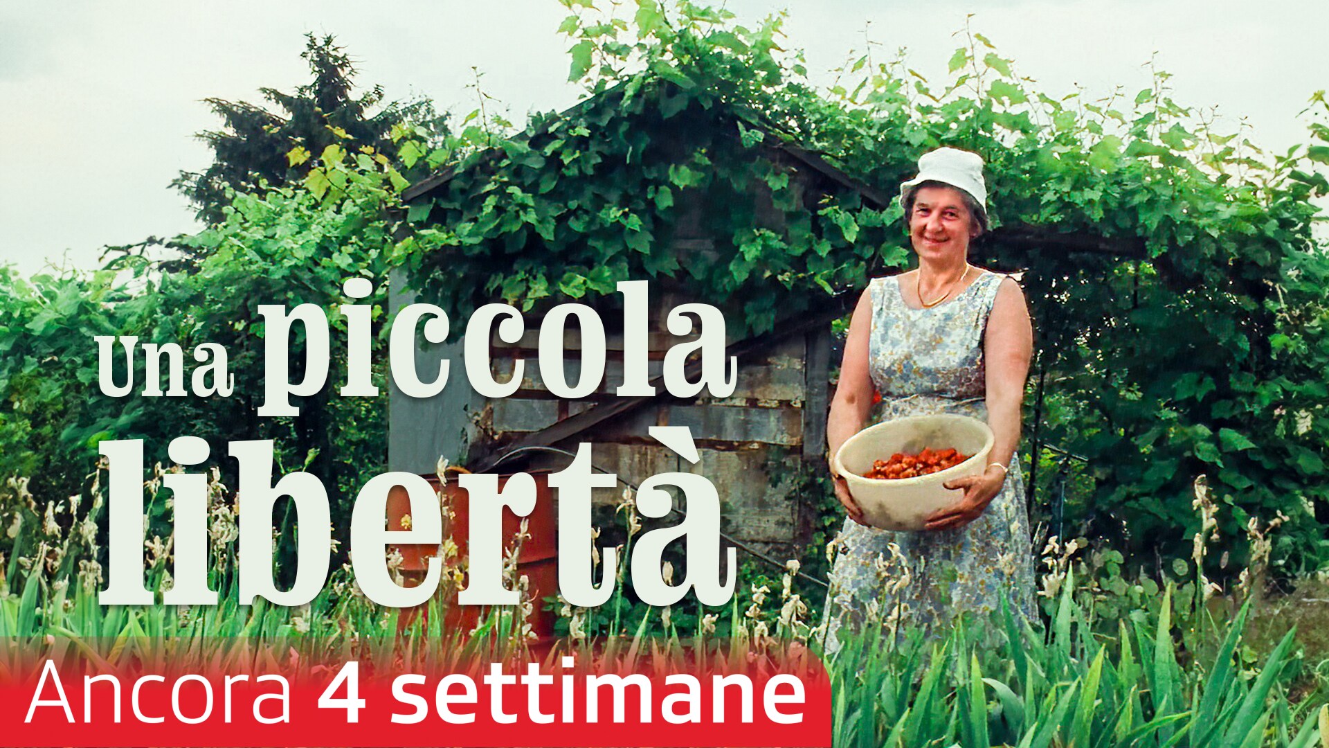 Una piccola libertà