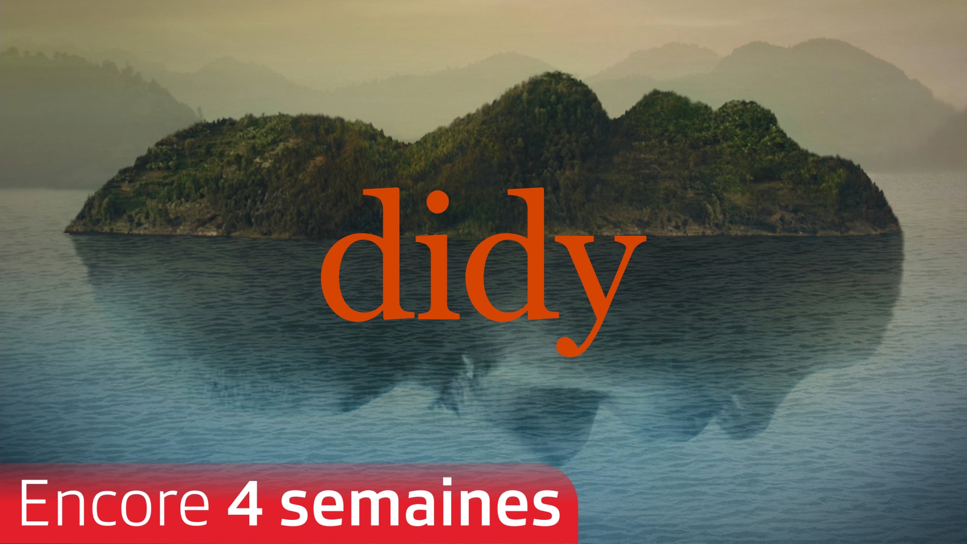 Didy