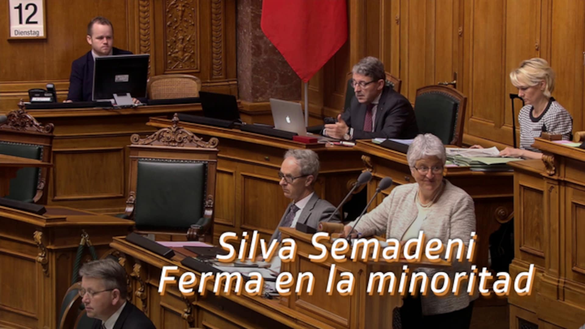 Silva Semadeni - Ferma en la minoritad