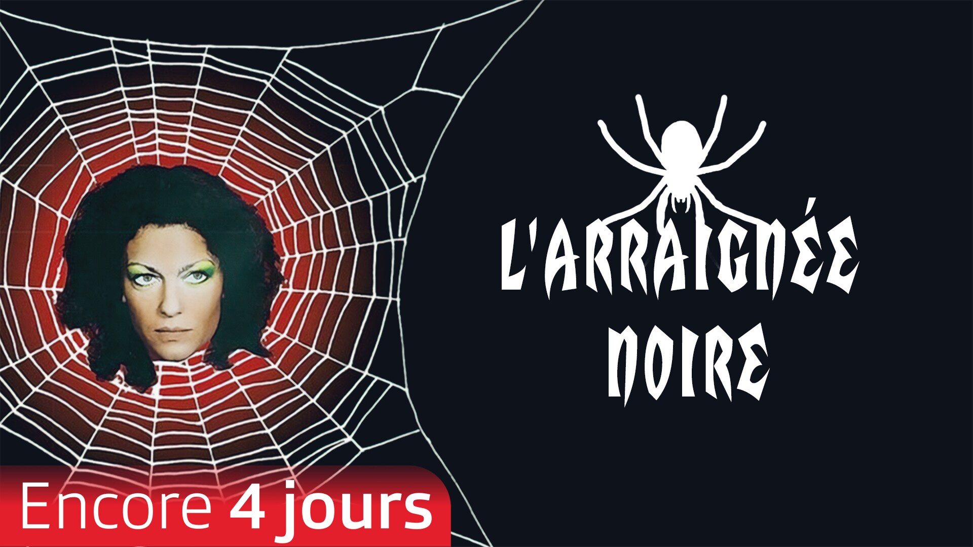 L'araignée noire