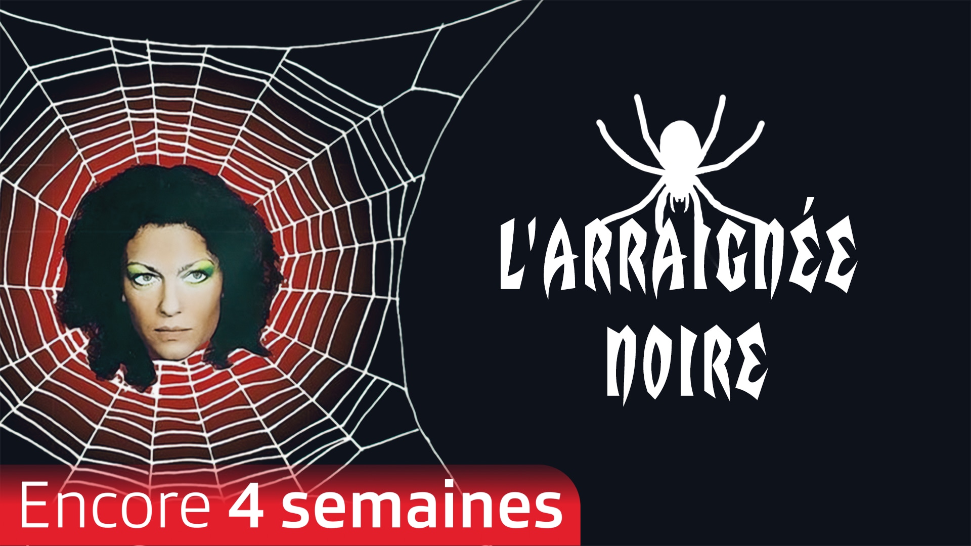 L'araignée noire