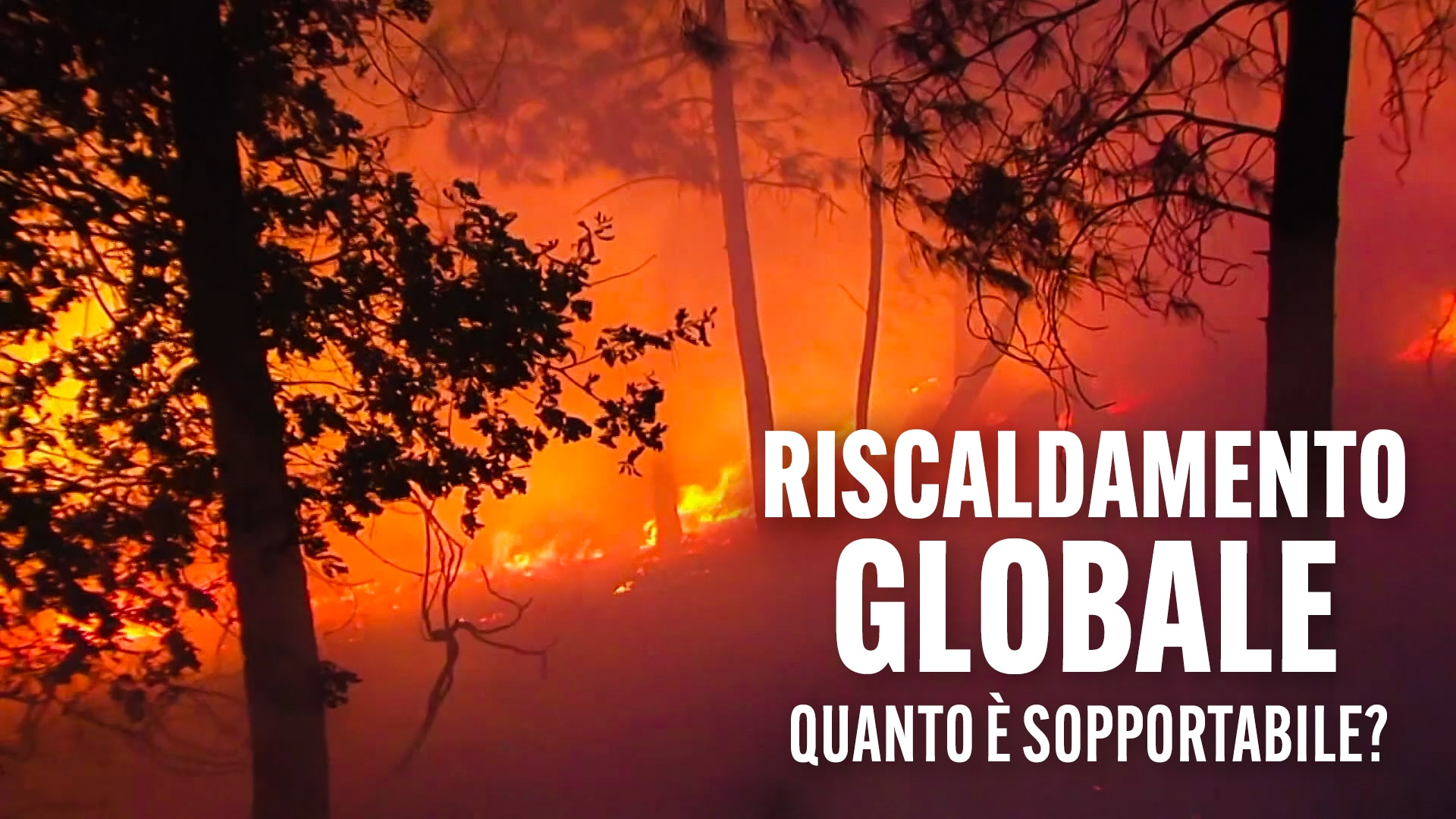 Riscaldamento globale: quanto è sopportabile?