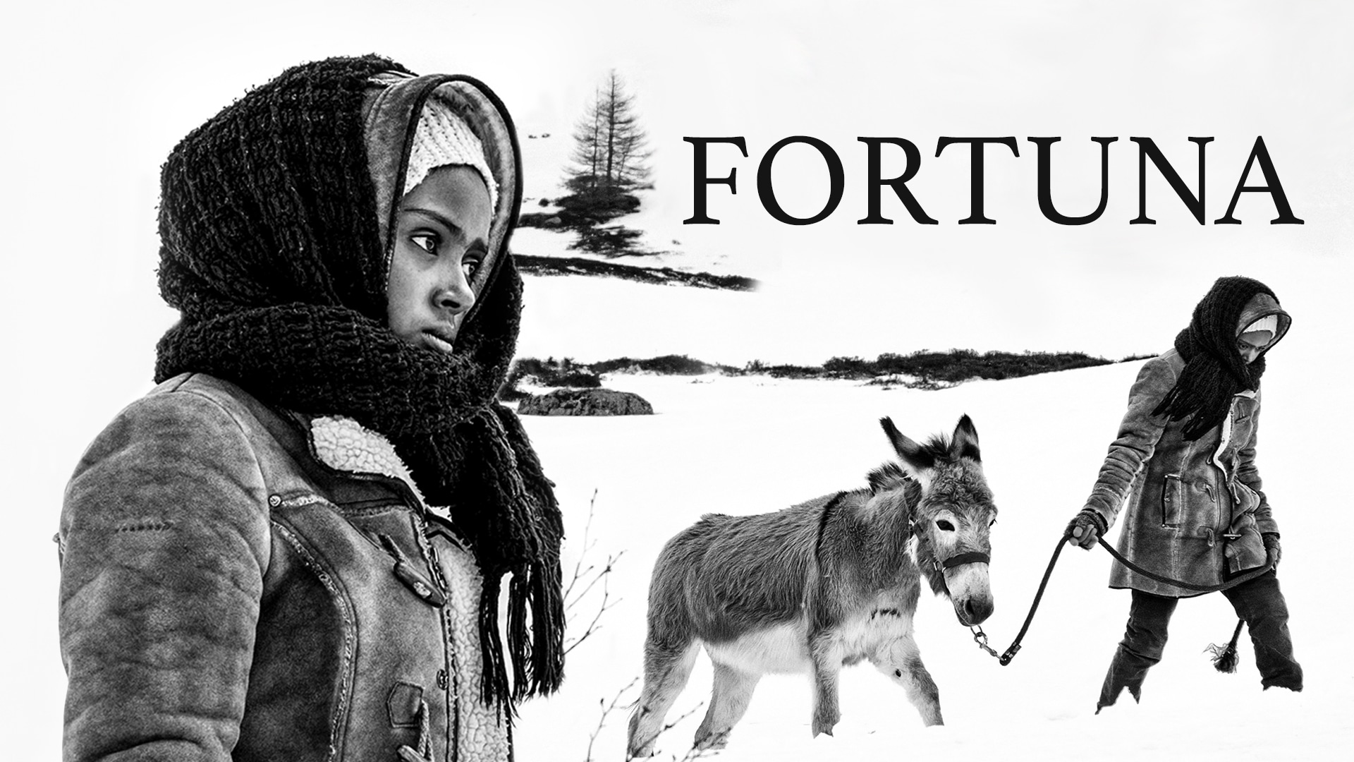 Fortuna