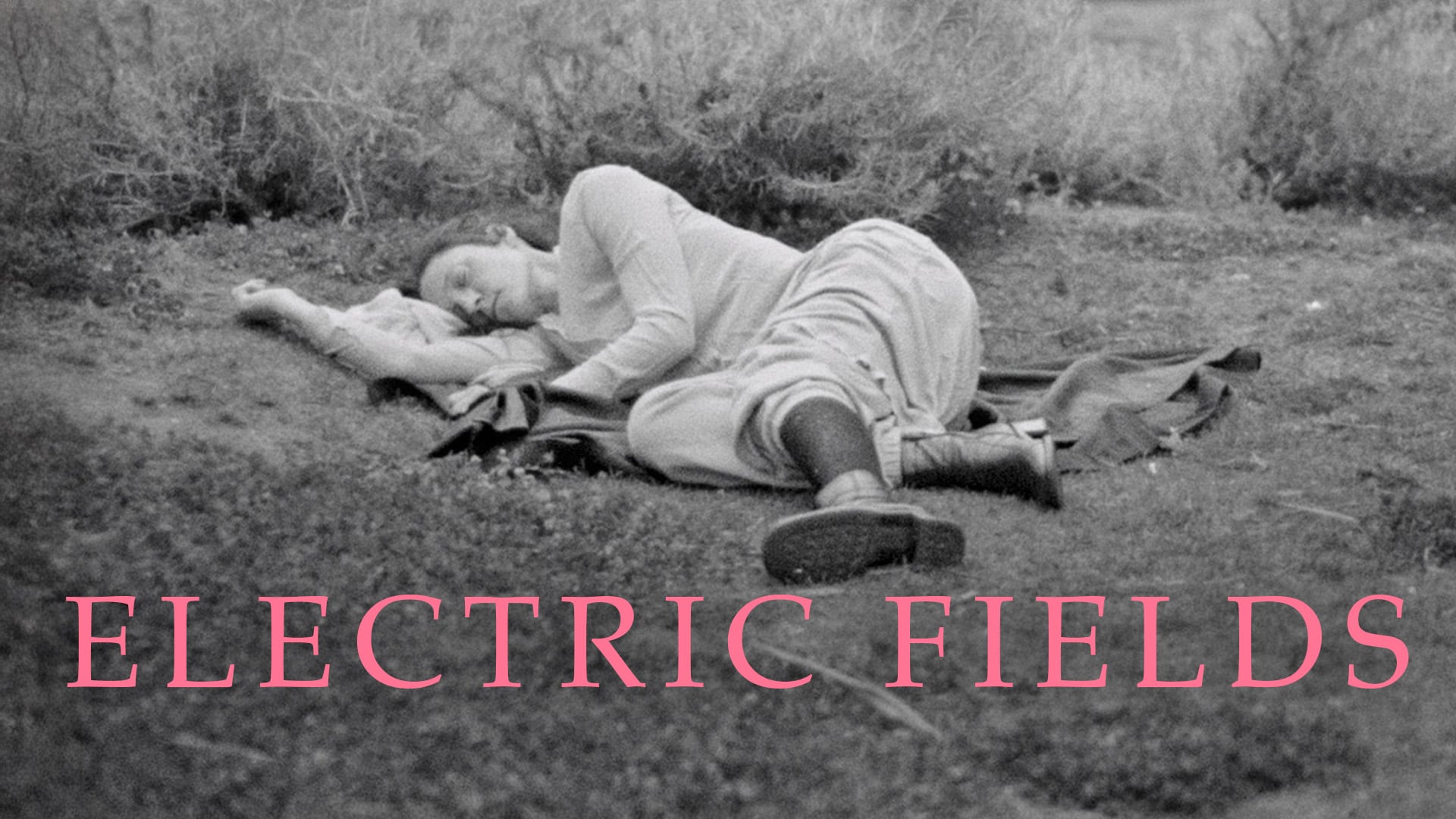Electric Fields