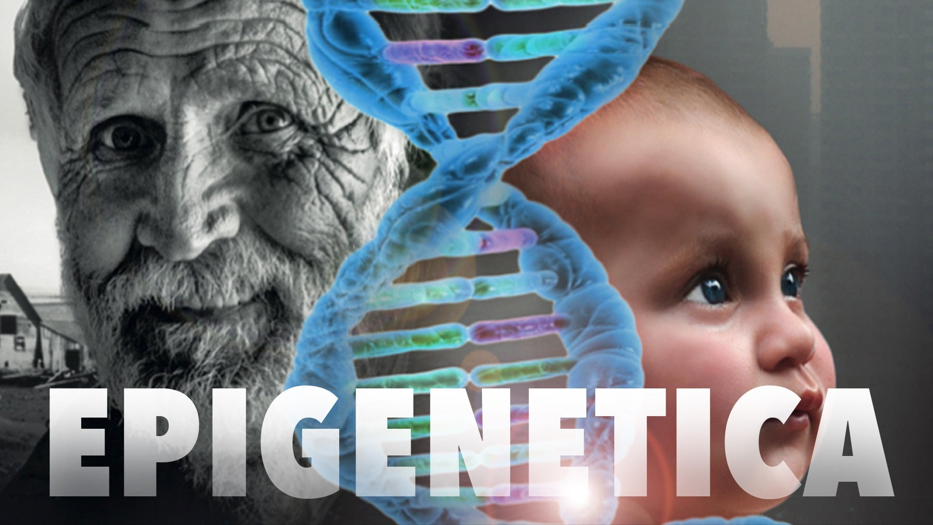 Epigenetica: siamo geni o ambiente?