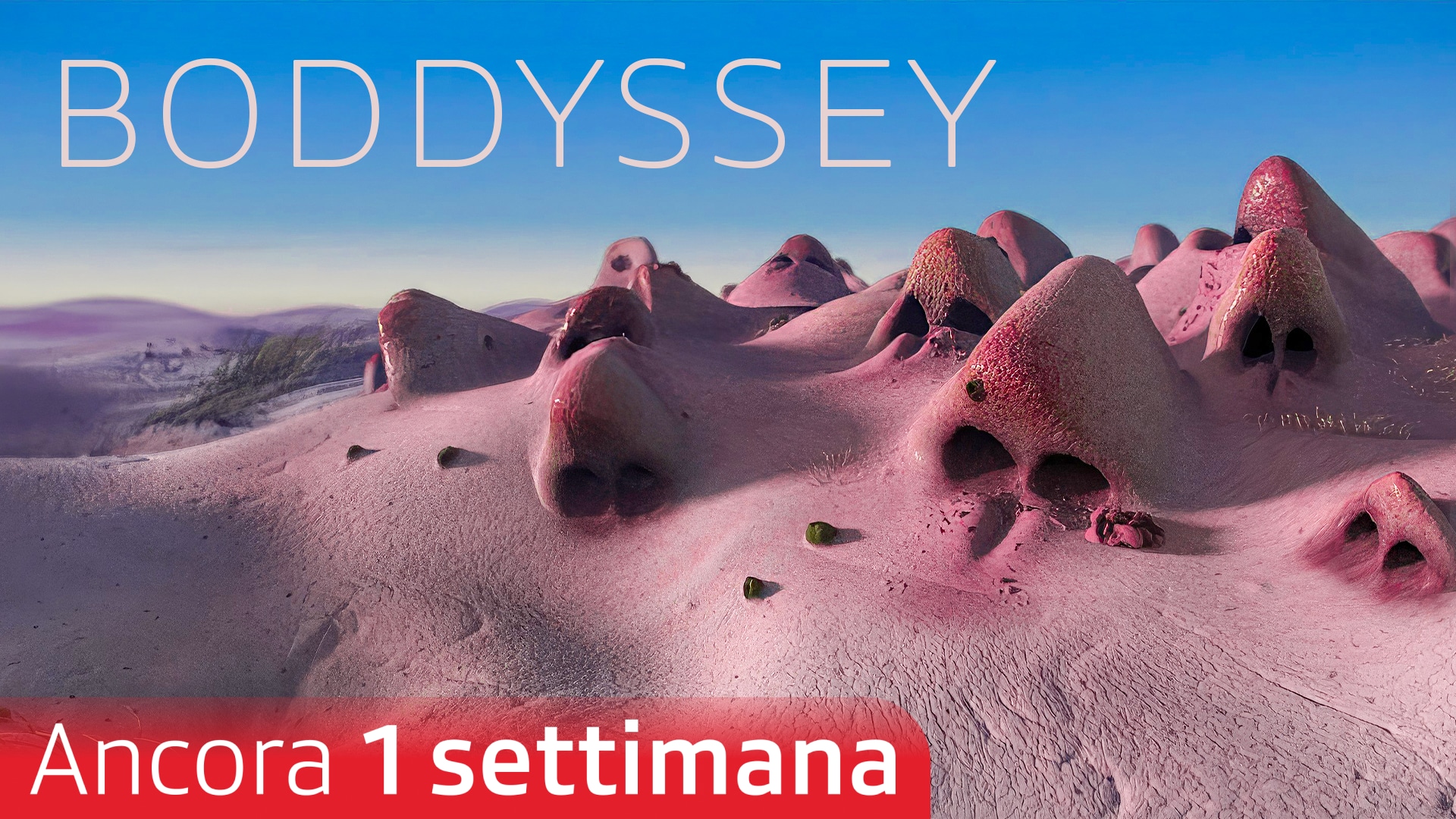 Boddyssey