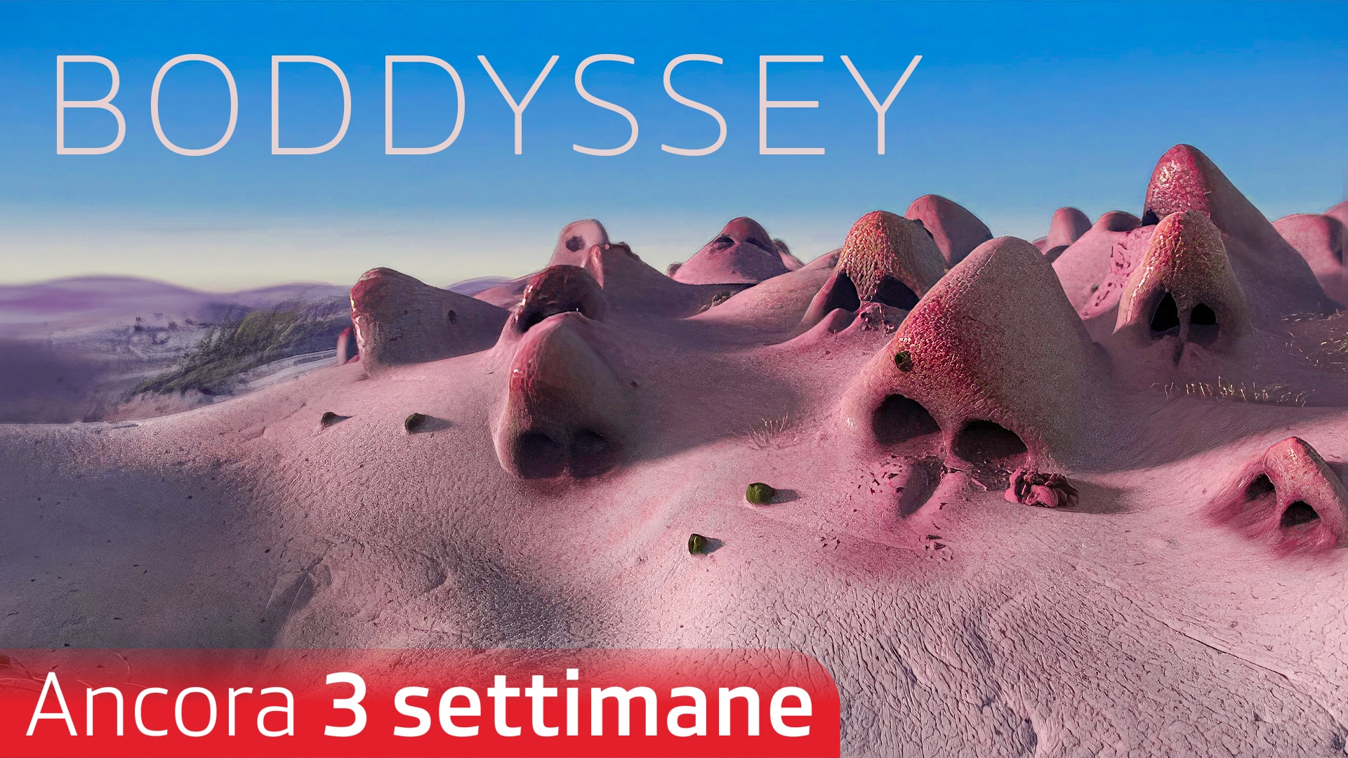 Boddyssey
