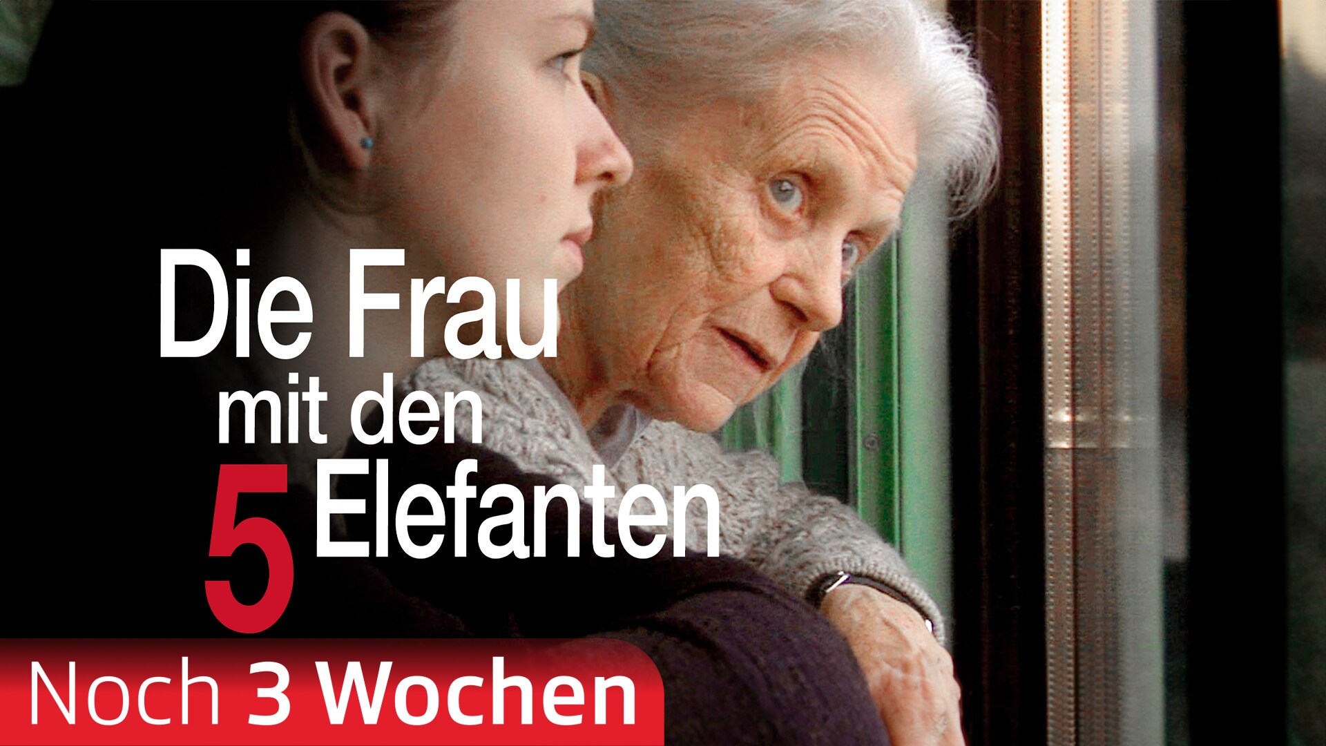 Die Frau mit den 5 Elefanten