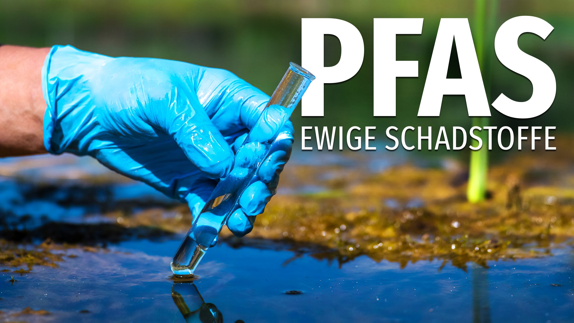 PFAS, ewige Schadstoffe