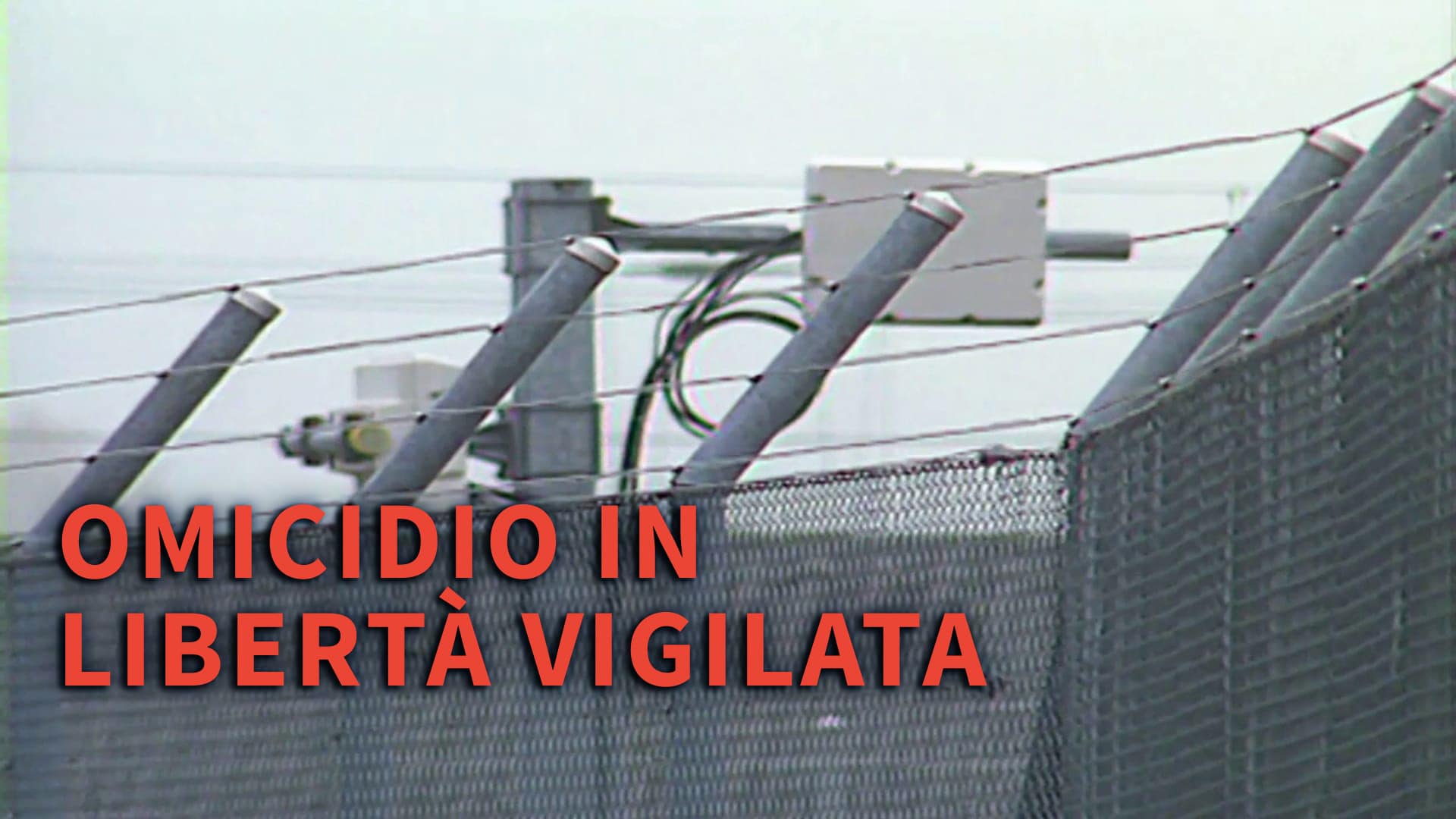 Omicidio in libertà vigilata