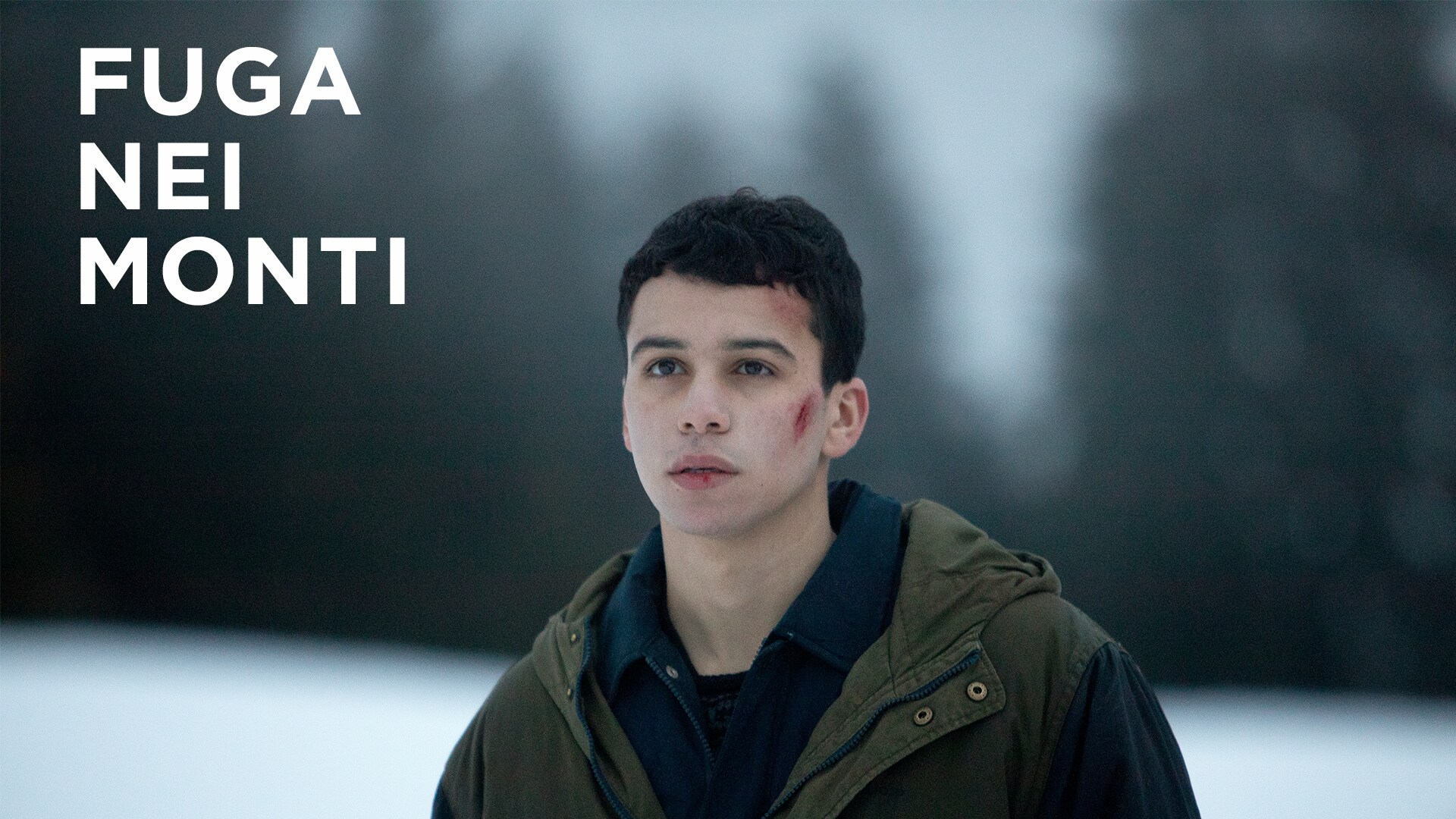 Fuga nei monti