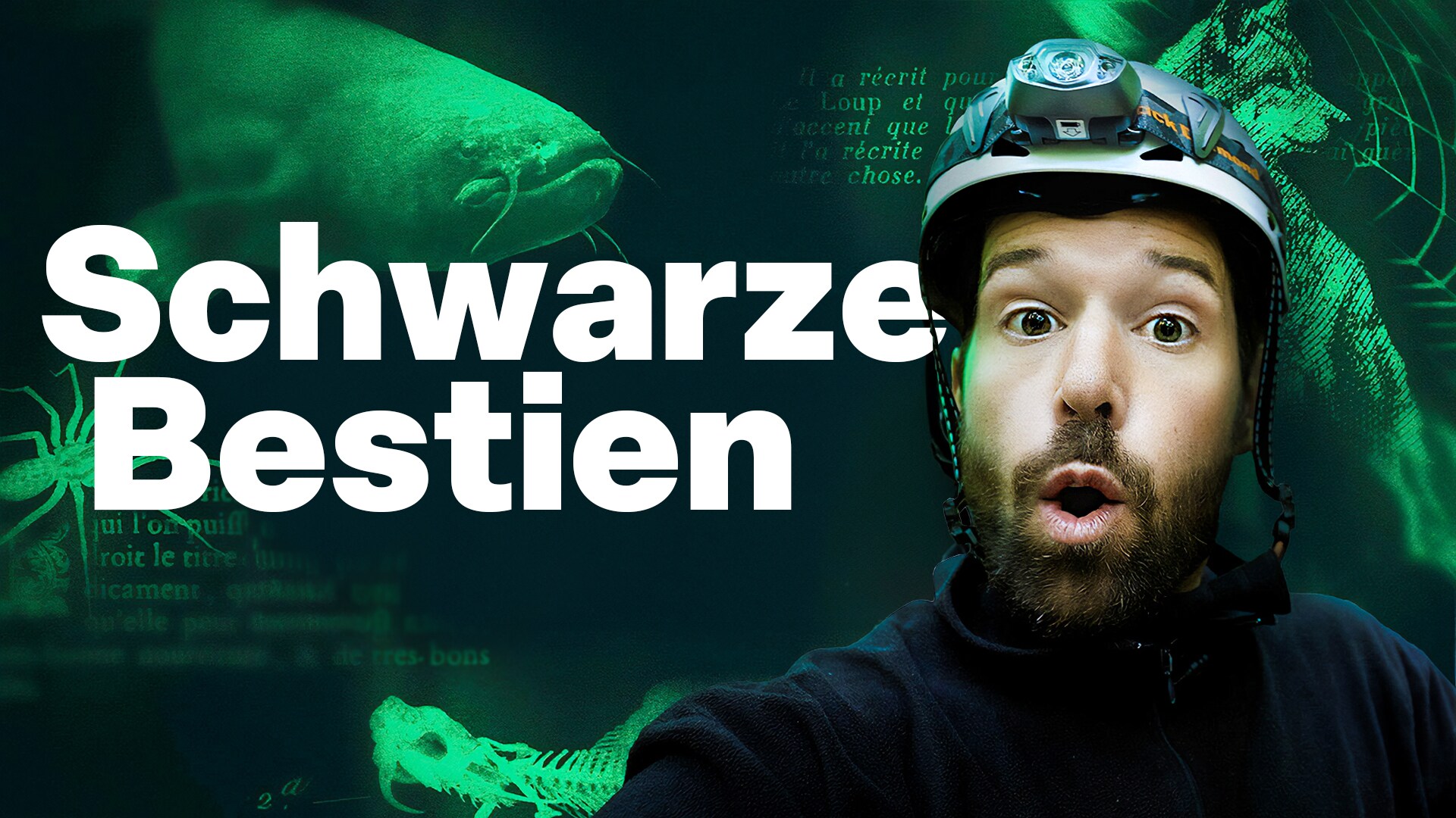 Schwarze Bestien