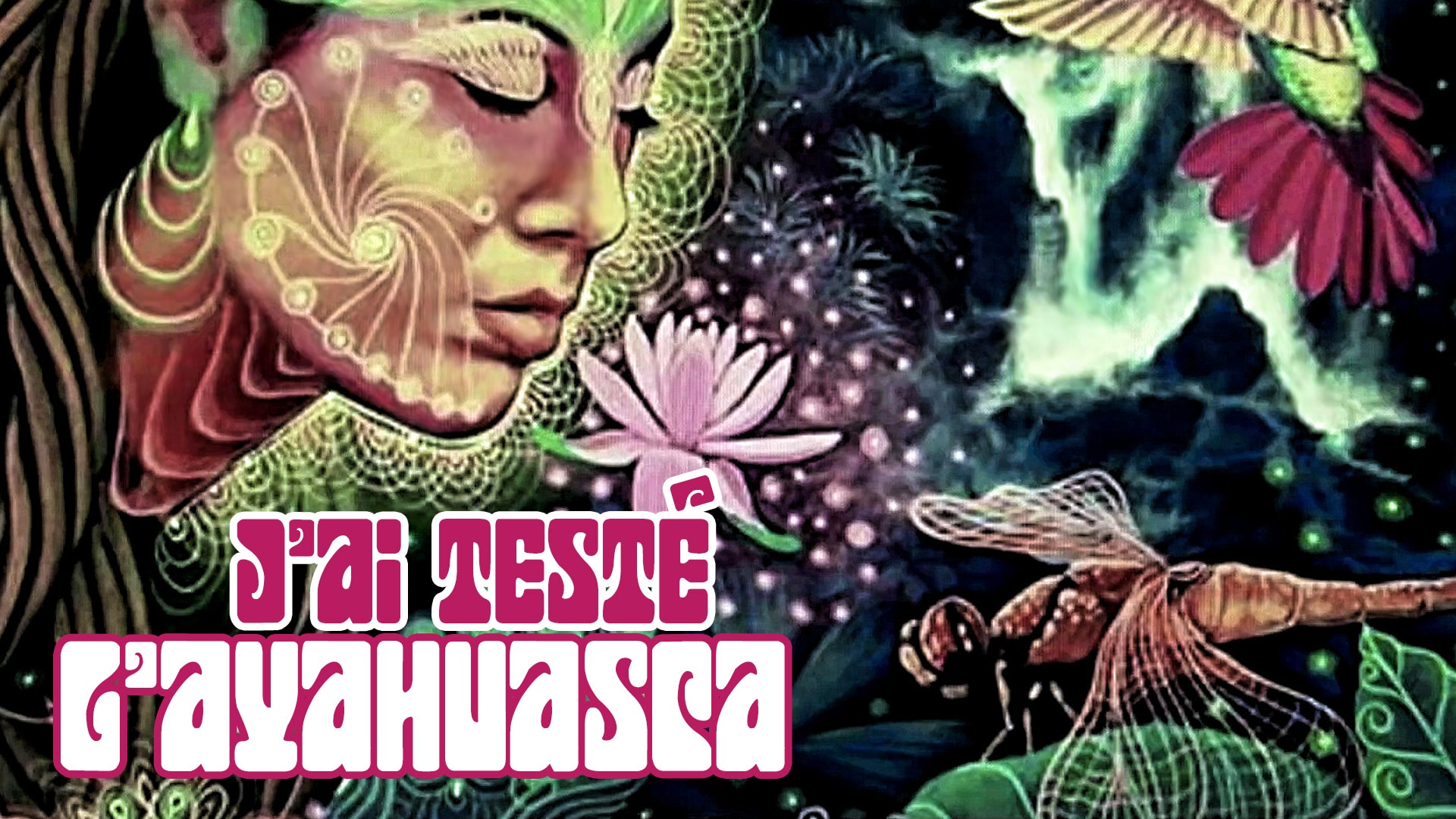 J'ai testé l'ayahuasca