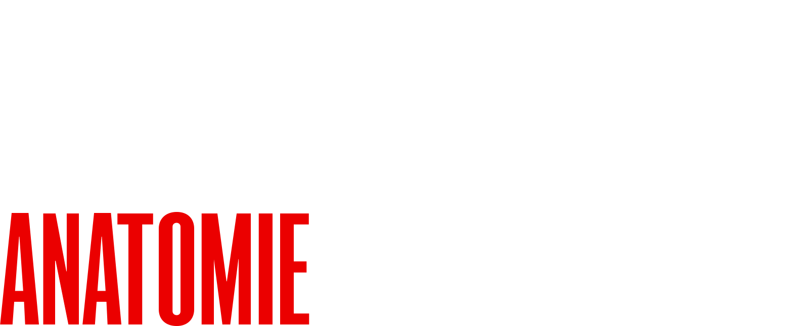 Robiei 66, anatomie d'une tragédie