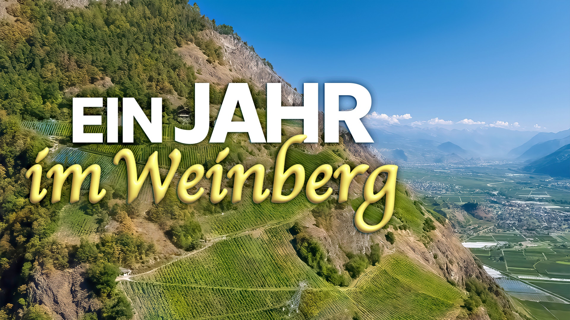 Ein Jahr im Weinberg